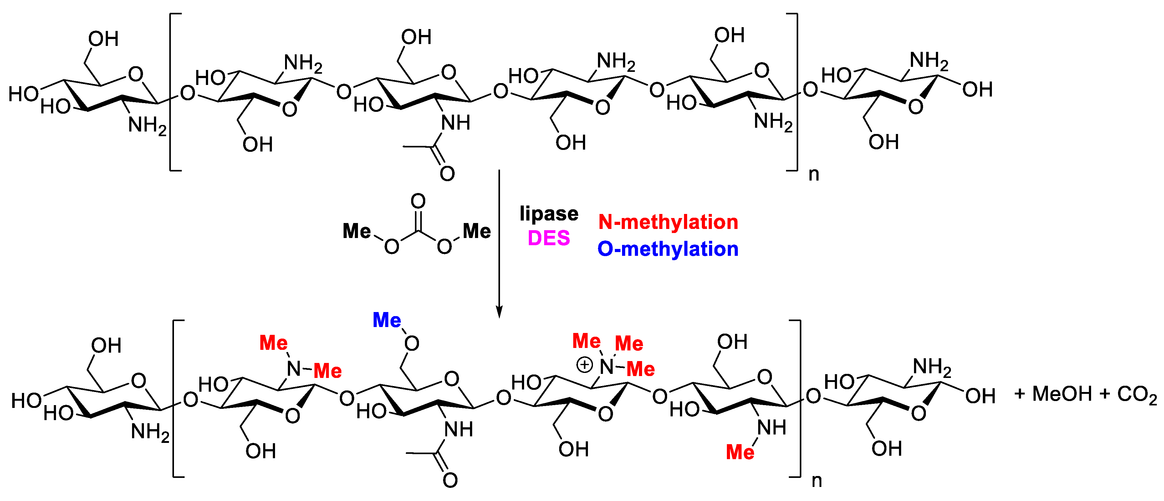 Catalysts 14 00371 g004