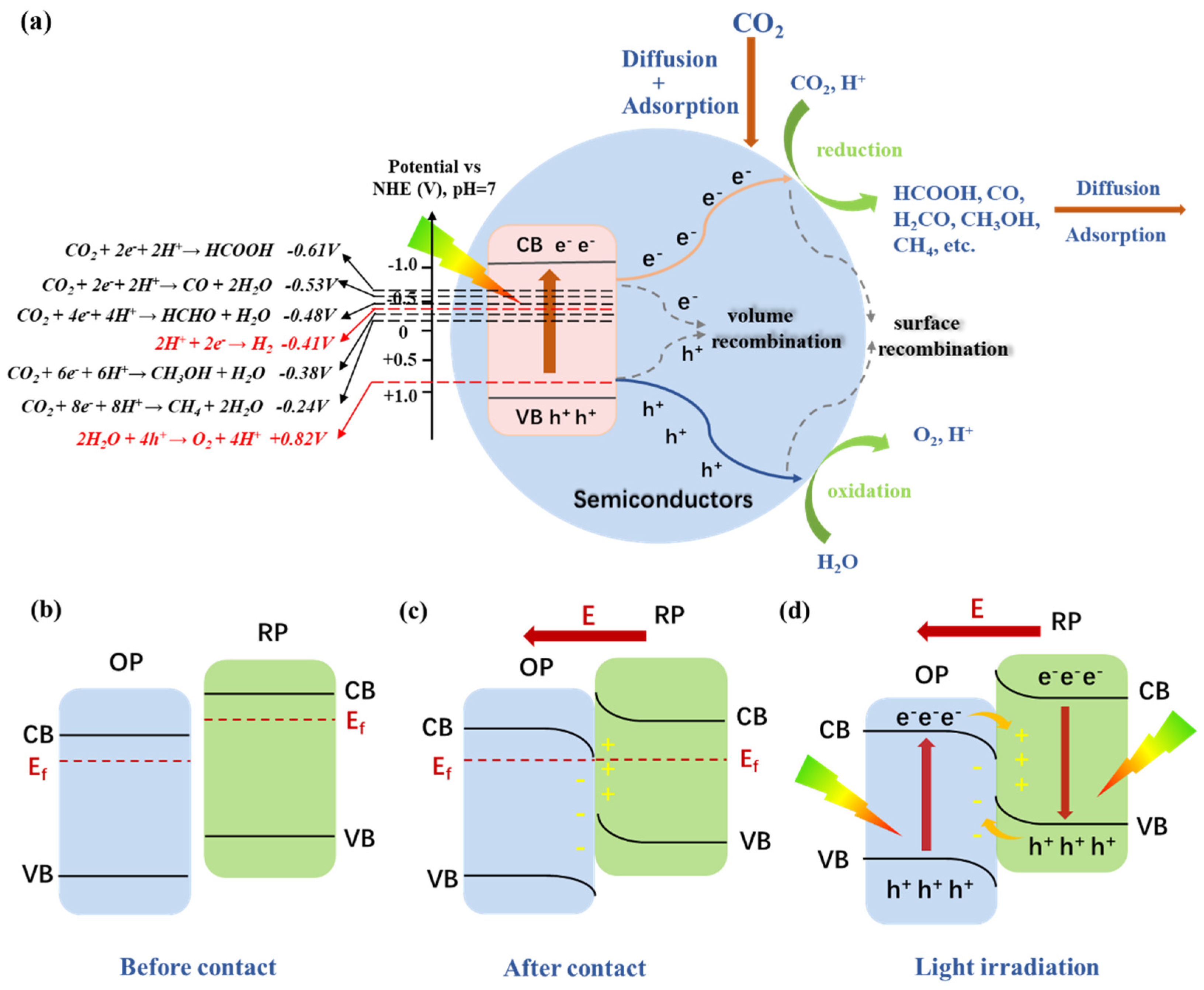 Catalysts 14 00374 g001