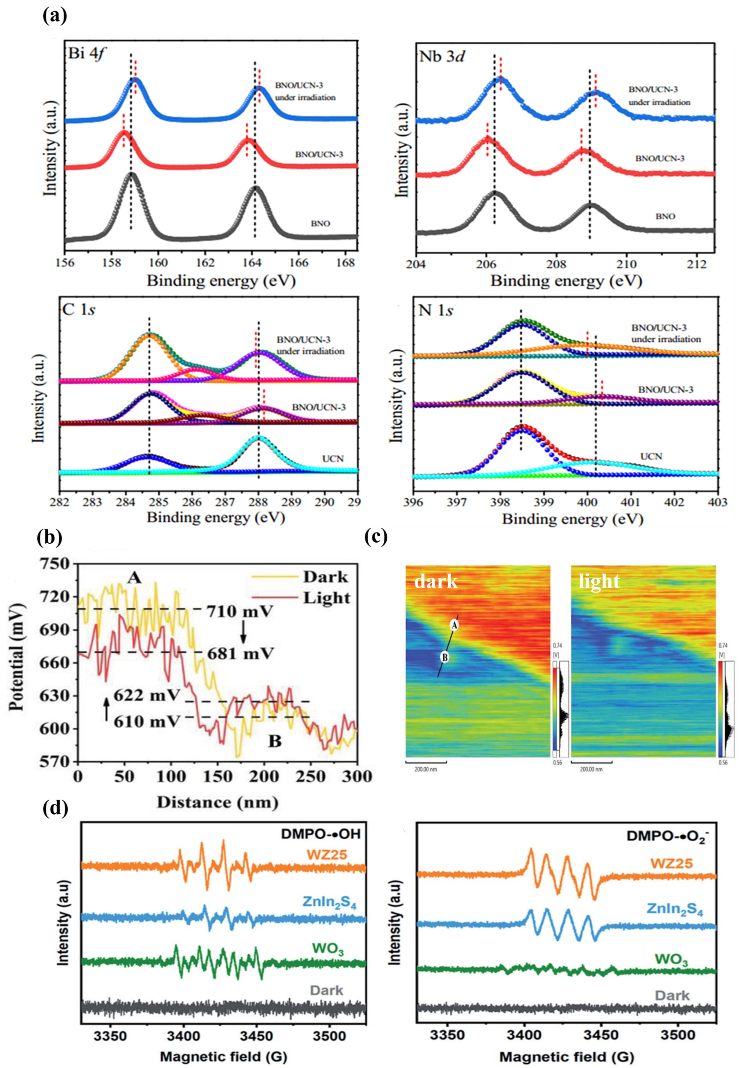 Catalysts 14 00374 g004