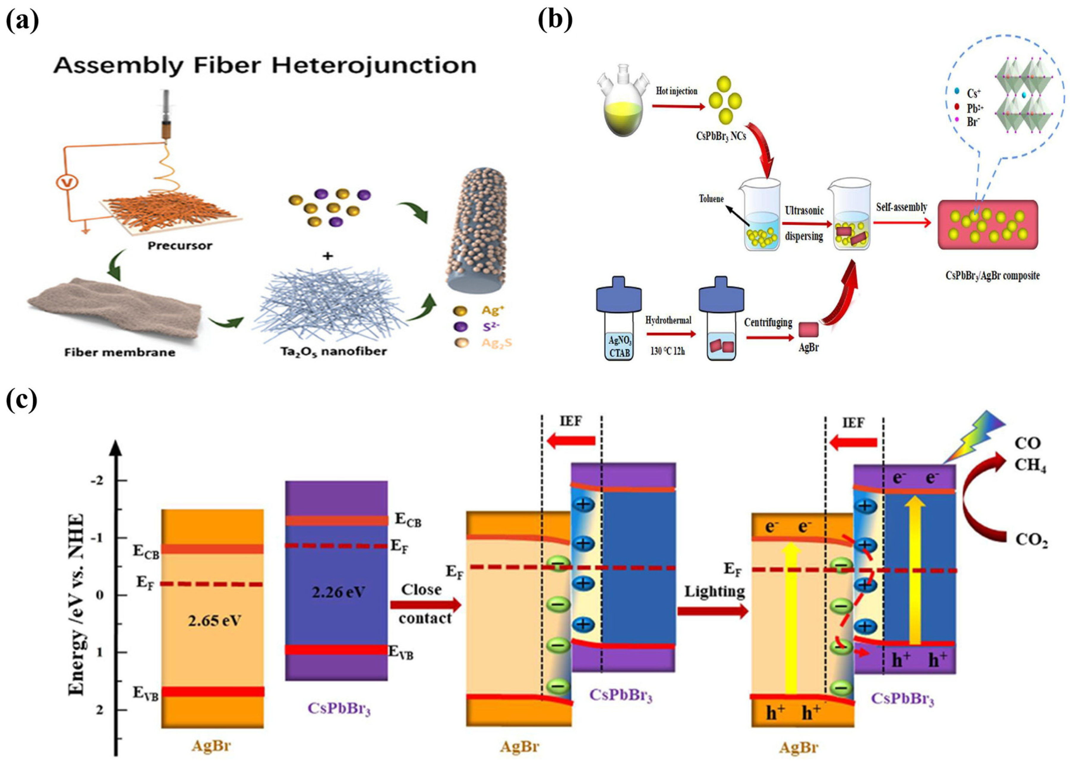 Catalysts 14 00374 g006