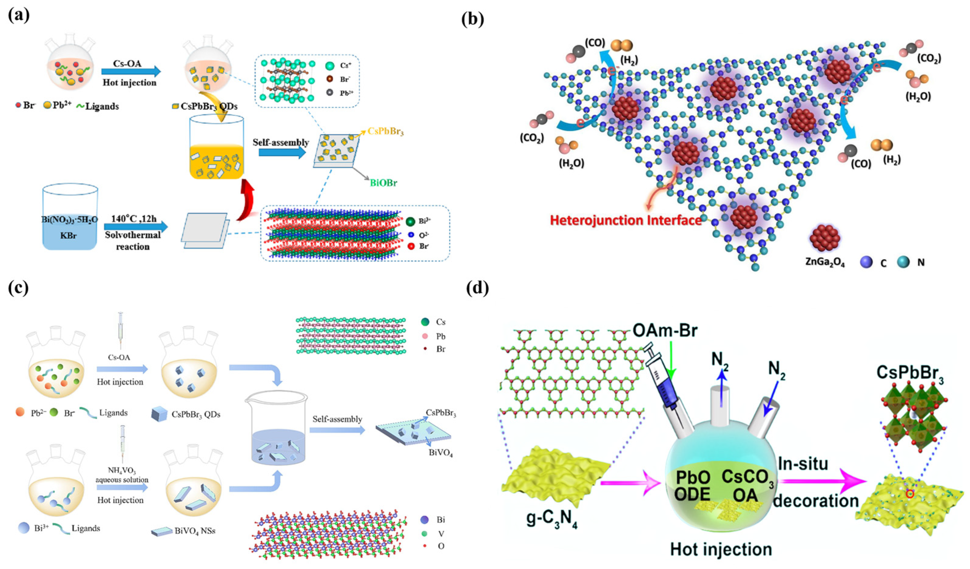 Catalysts 14 00374 g007