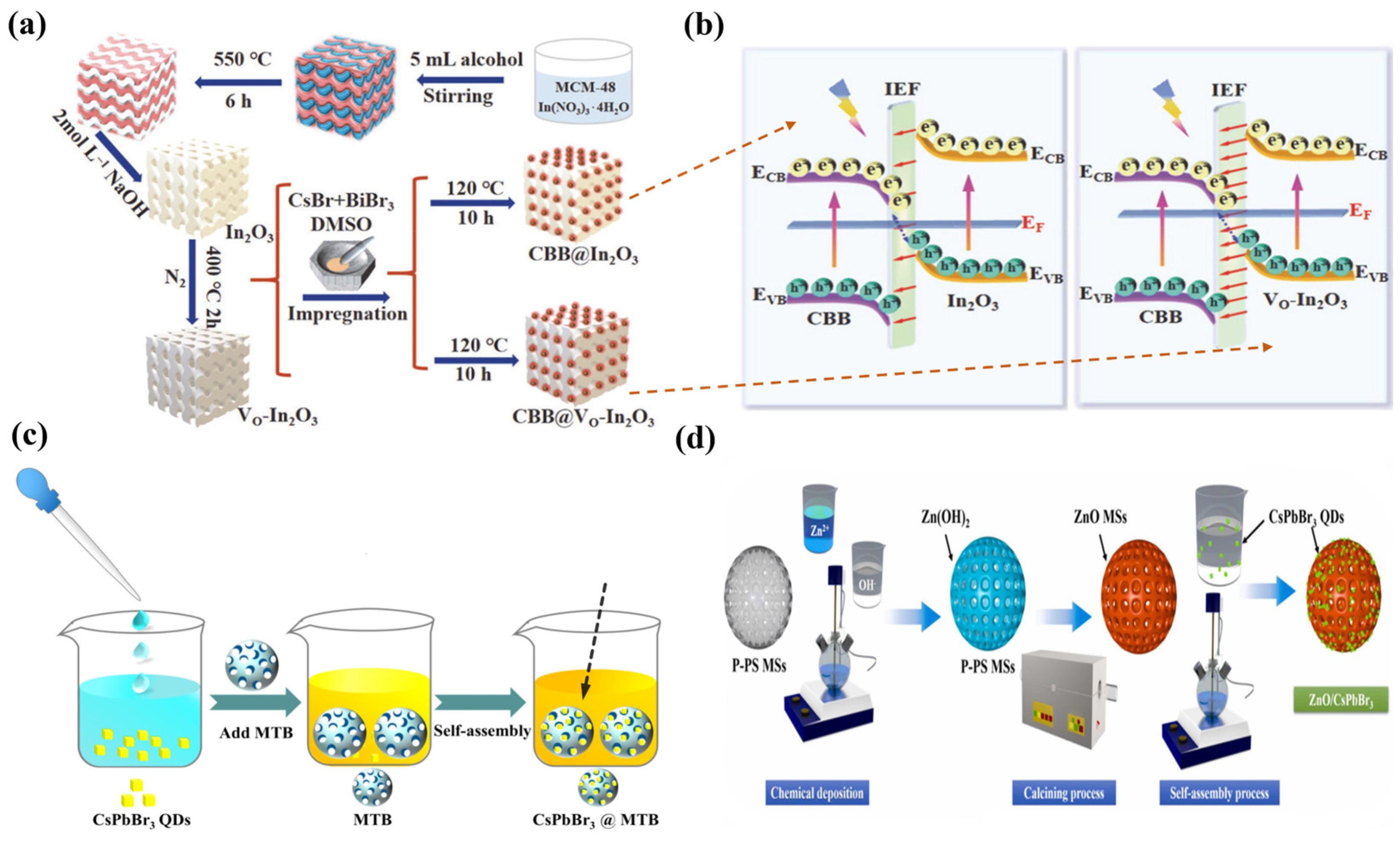 Catalysts 14 00374 g008
