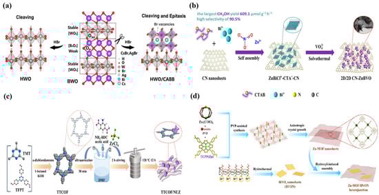 Catalysts 14 00374 g009