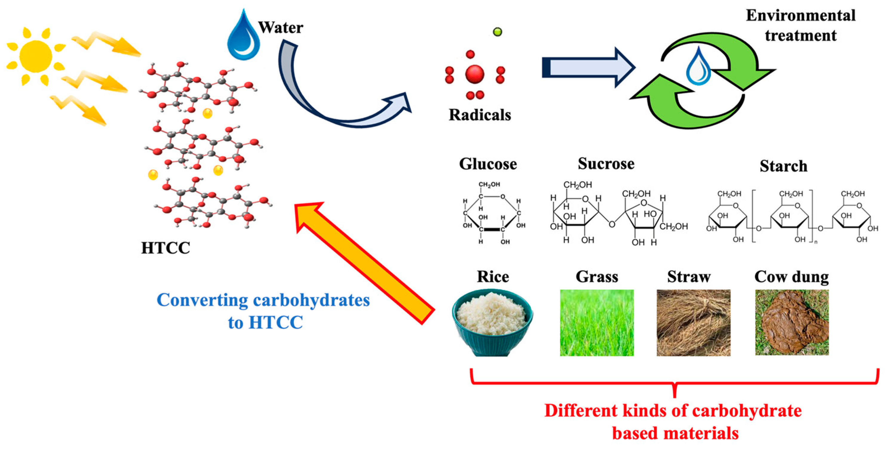Catalysts 14 00378 g005