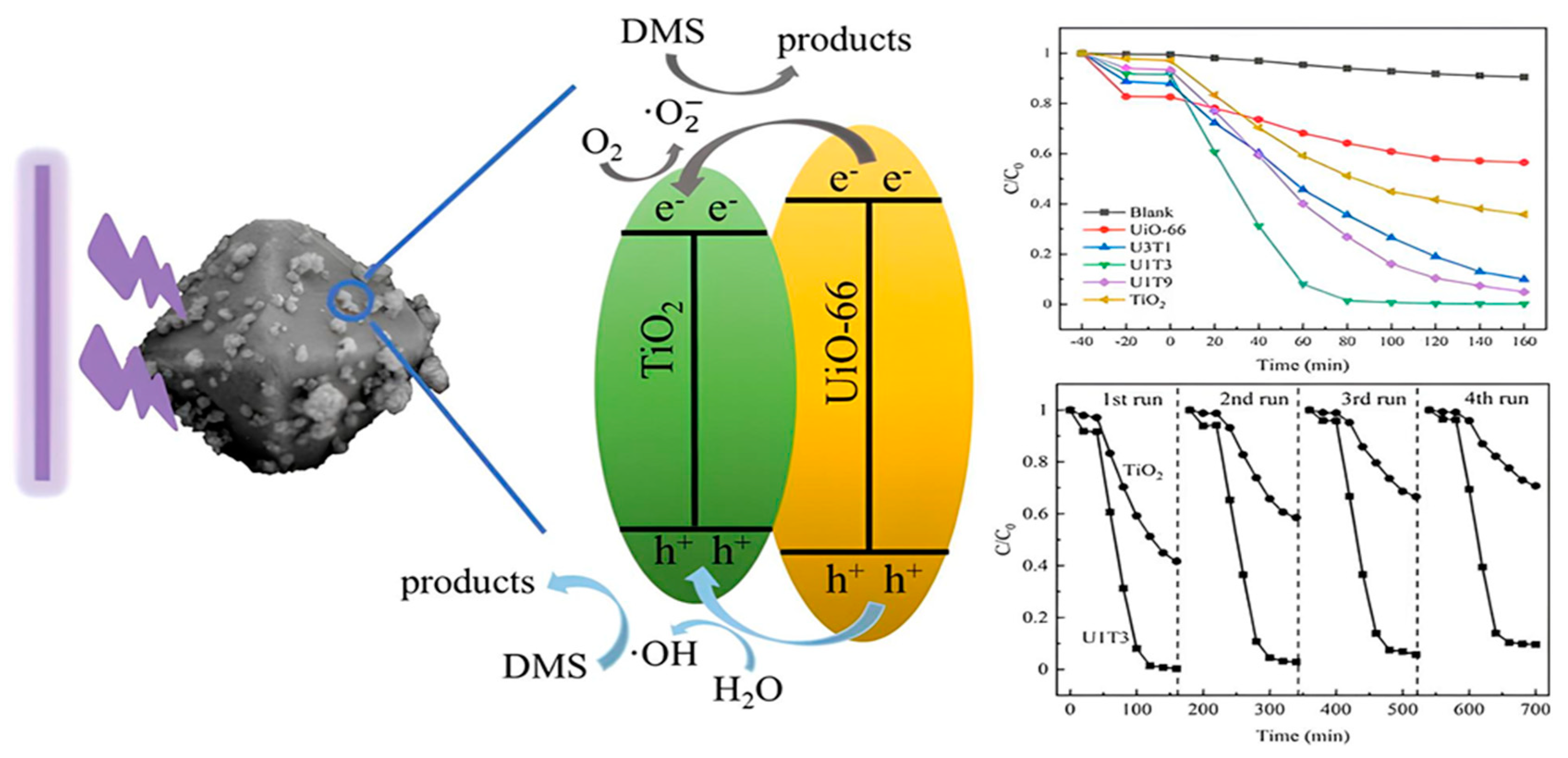 Catalysts 14 00381 g002