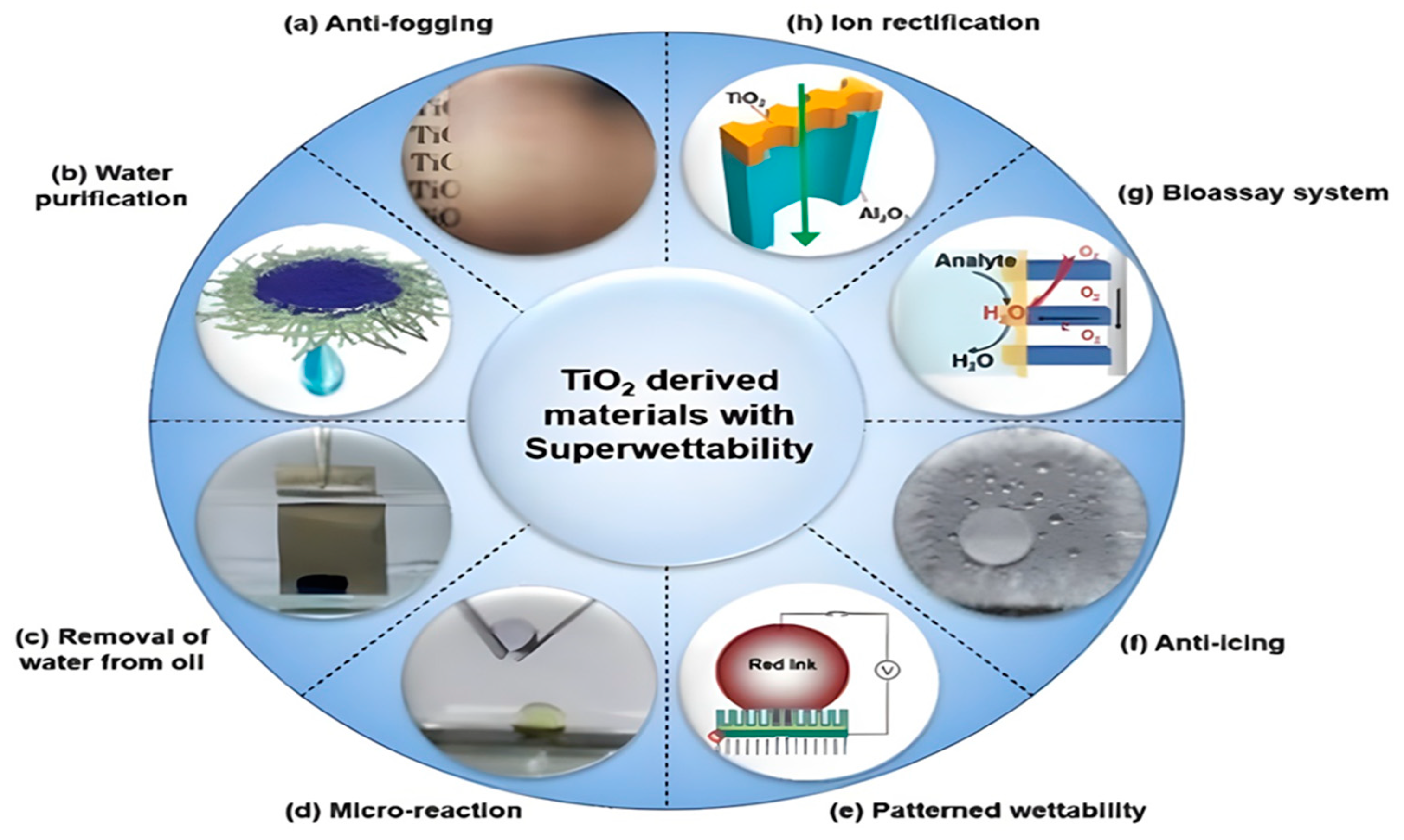 Catalysts 14 00381 g003