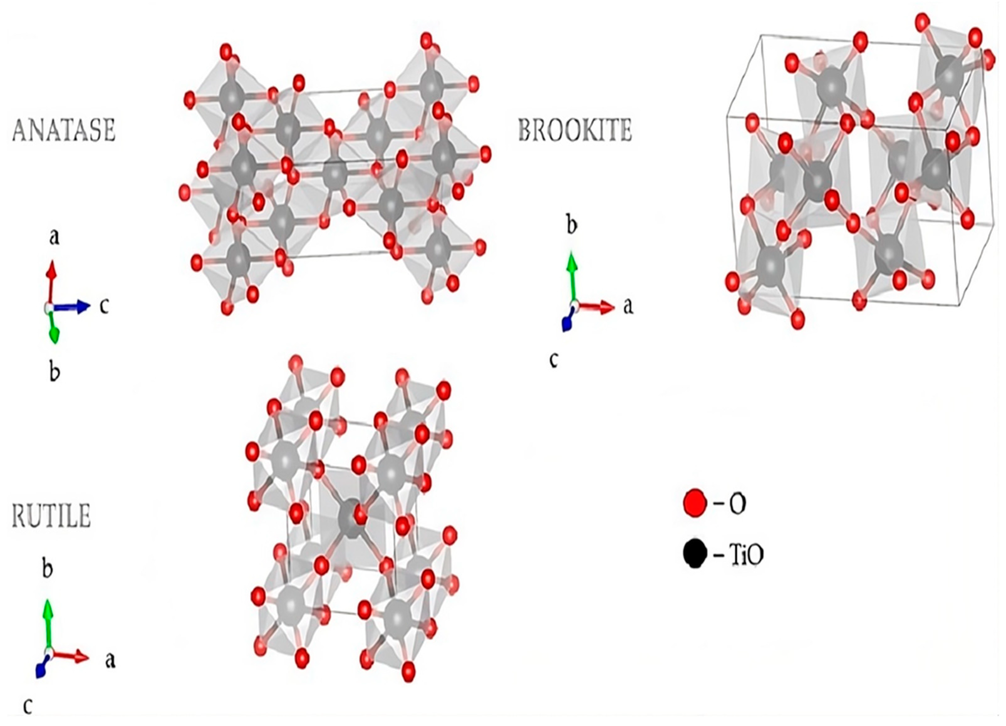 Catalysts 14 00381 g005