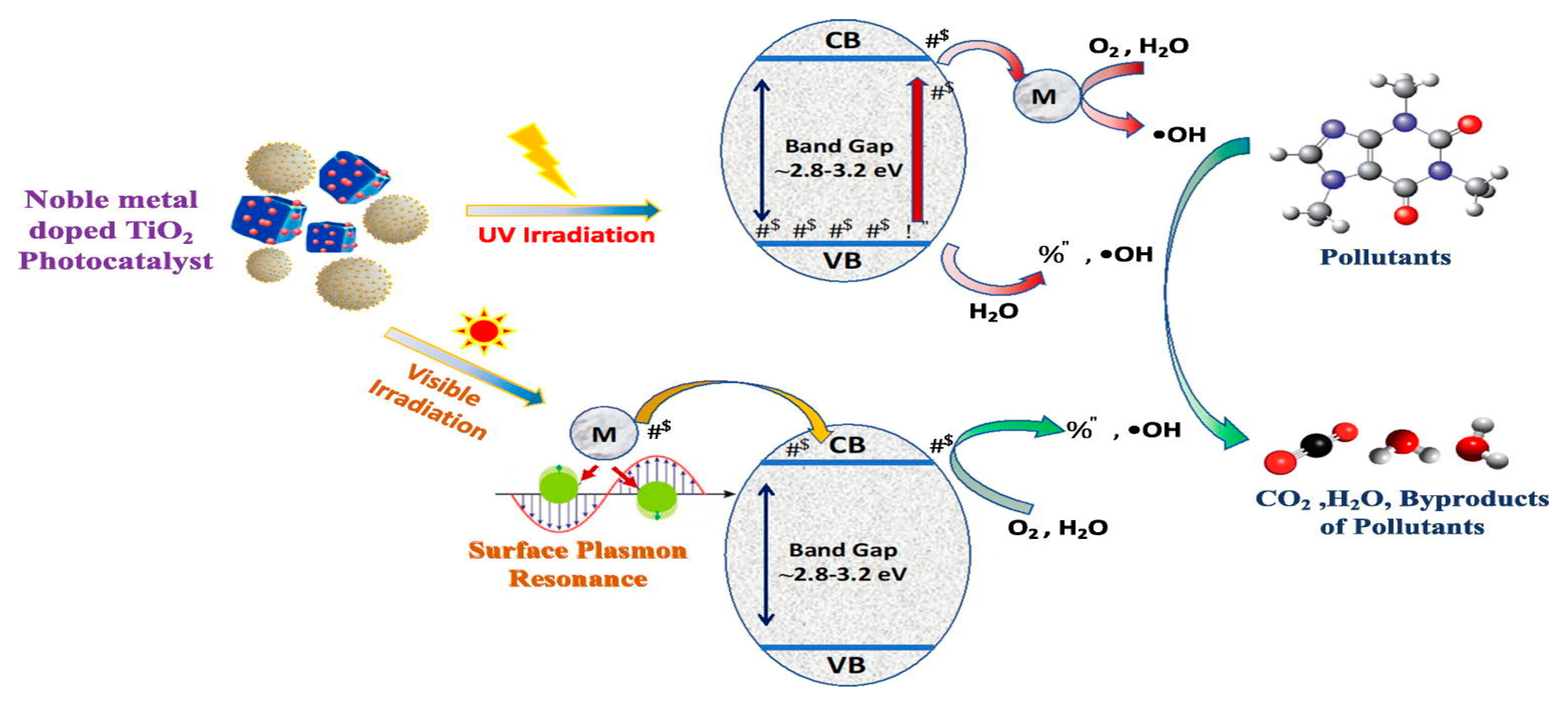 Catalysts 14 00381 g007