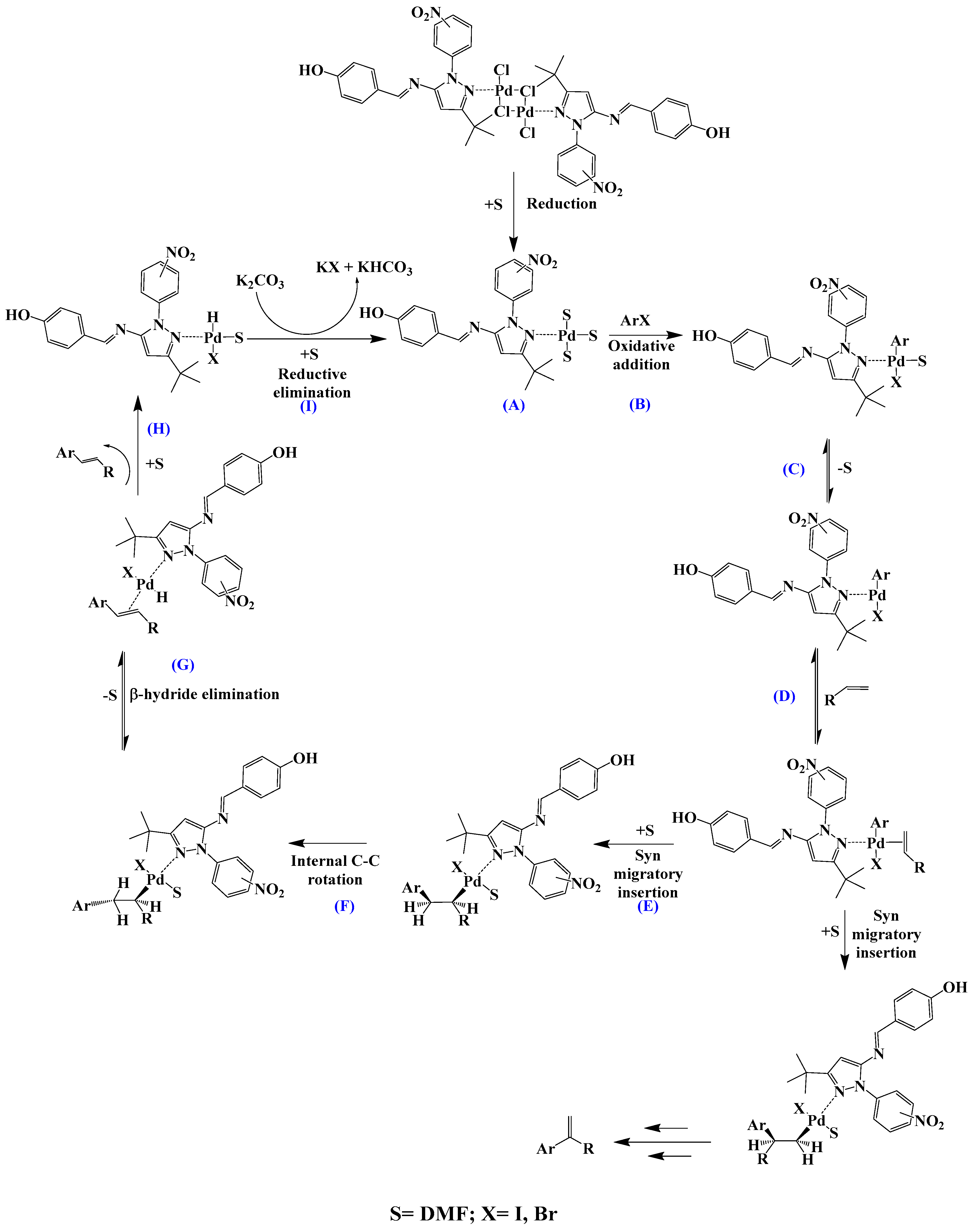 Catalysts 14 00387 sch003