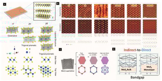 Catalysts 14 00388 g001
