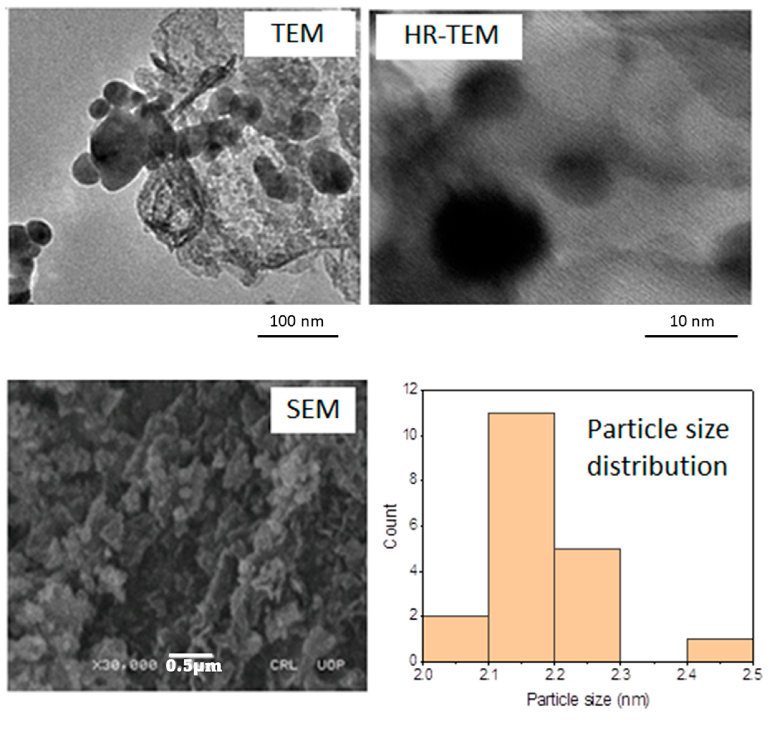 Catalysts 14 00392 g003 Catalysts 14 00392 g003