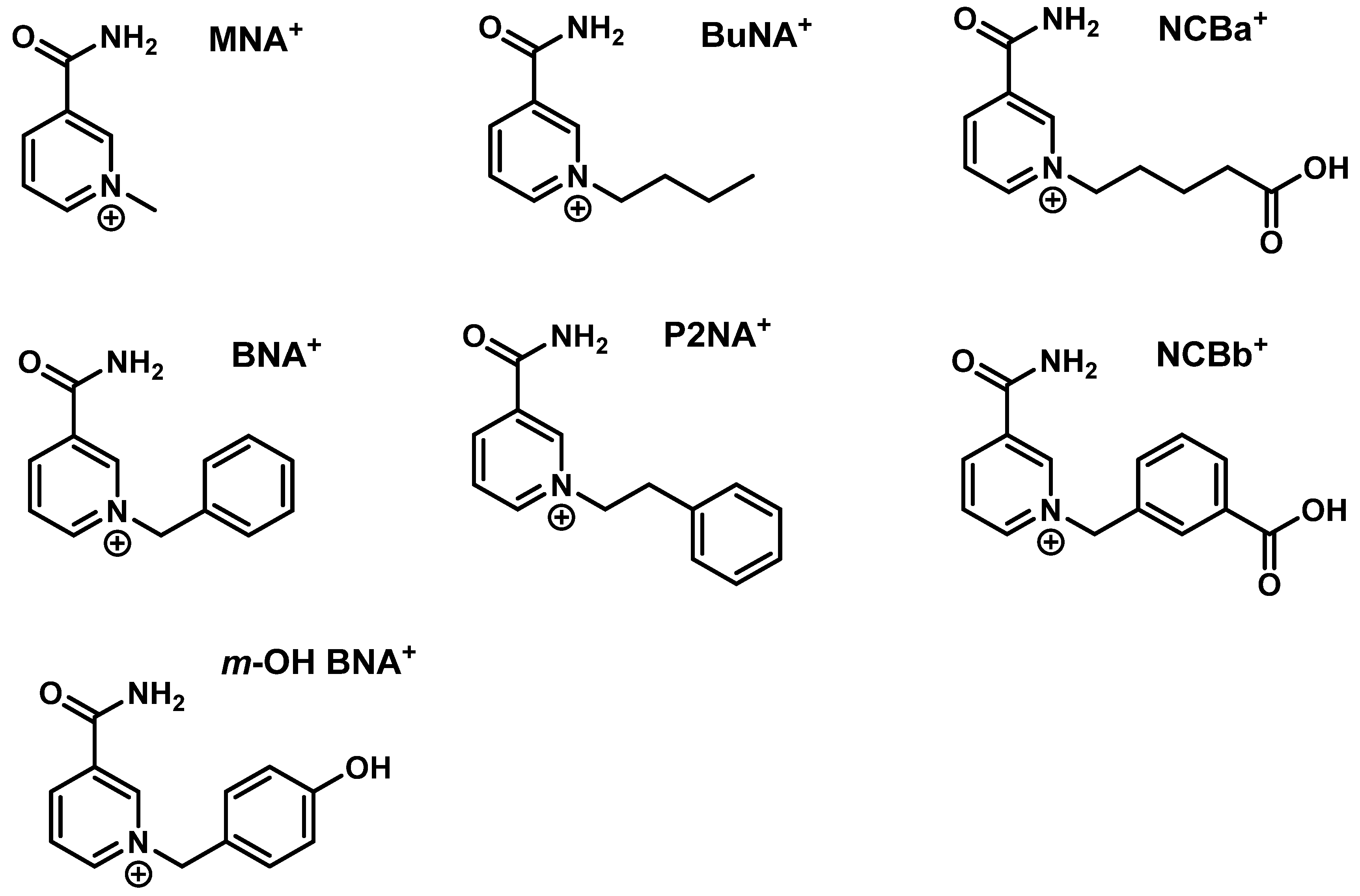 Catalysts 14 00399 g001