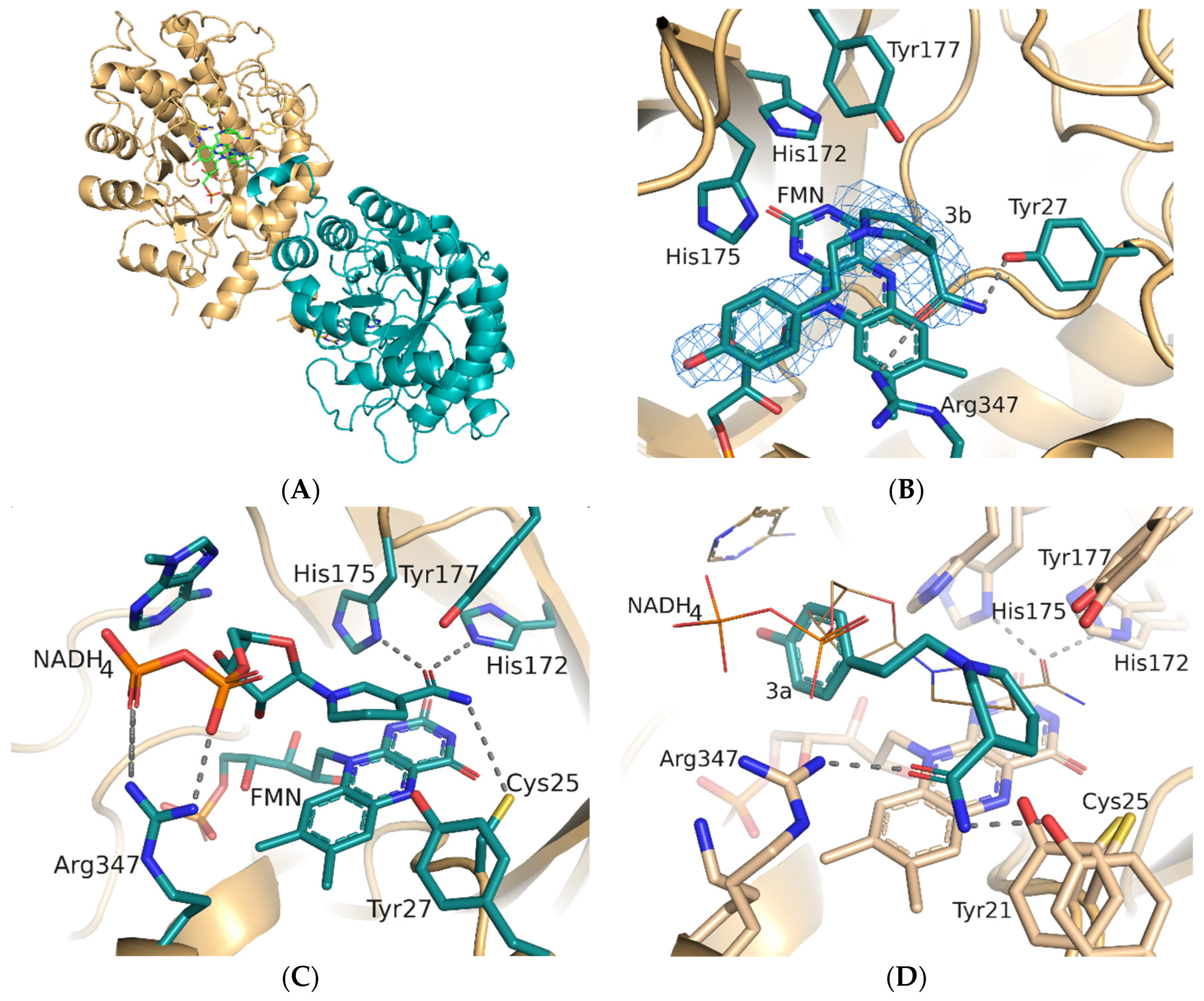 Catalysts 14 00399 g005