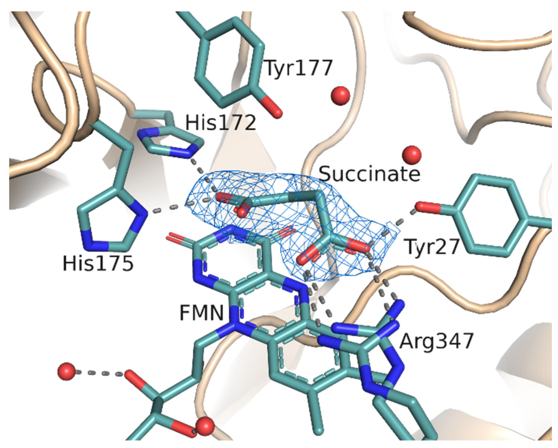 Catalysts 14 00399 g006