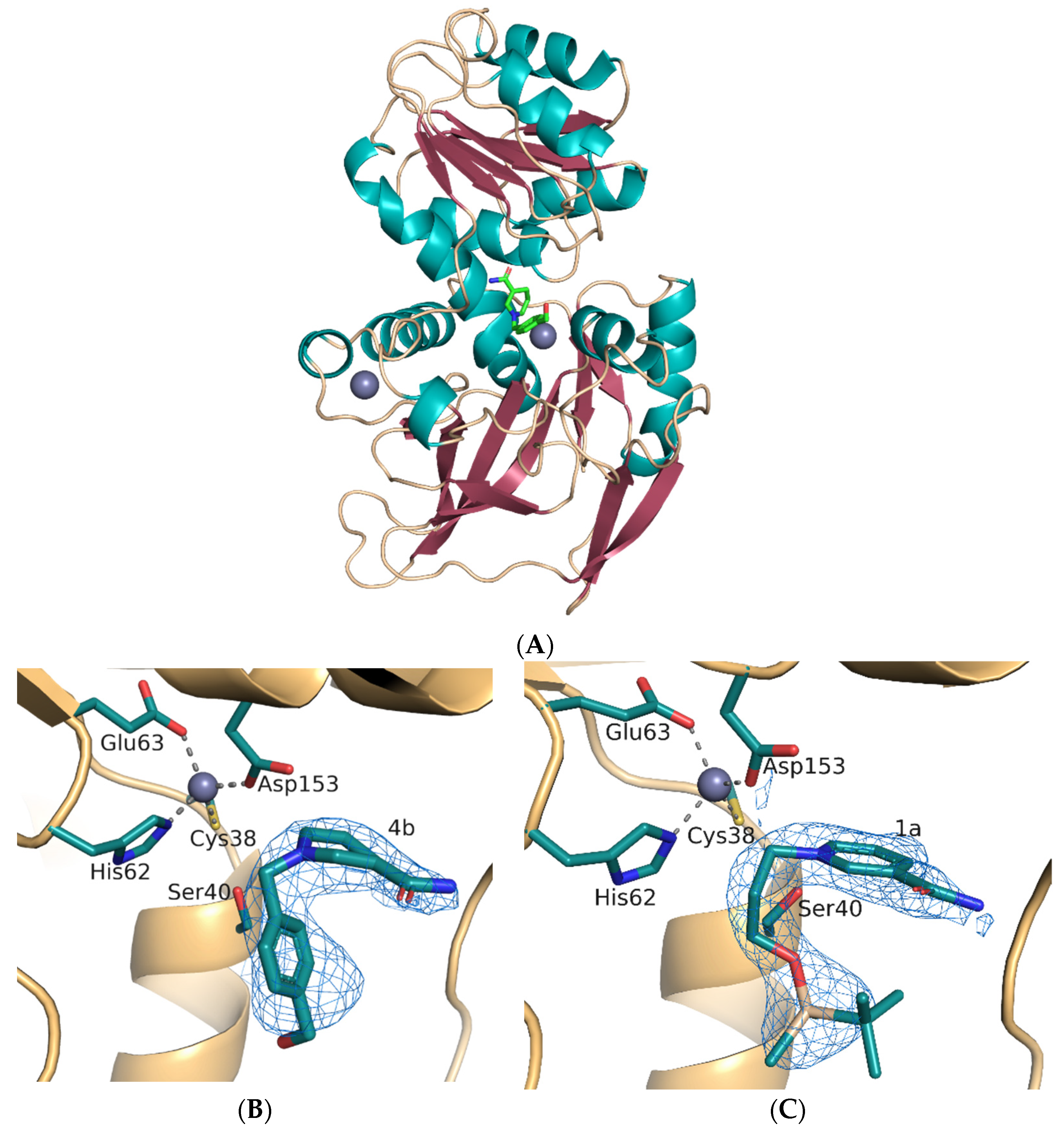 Catalysts 14 00399 g007a