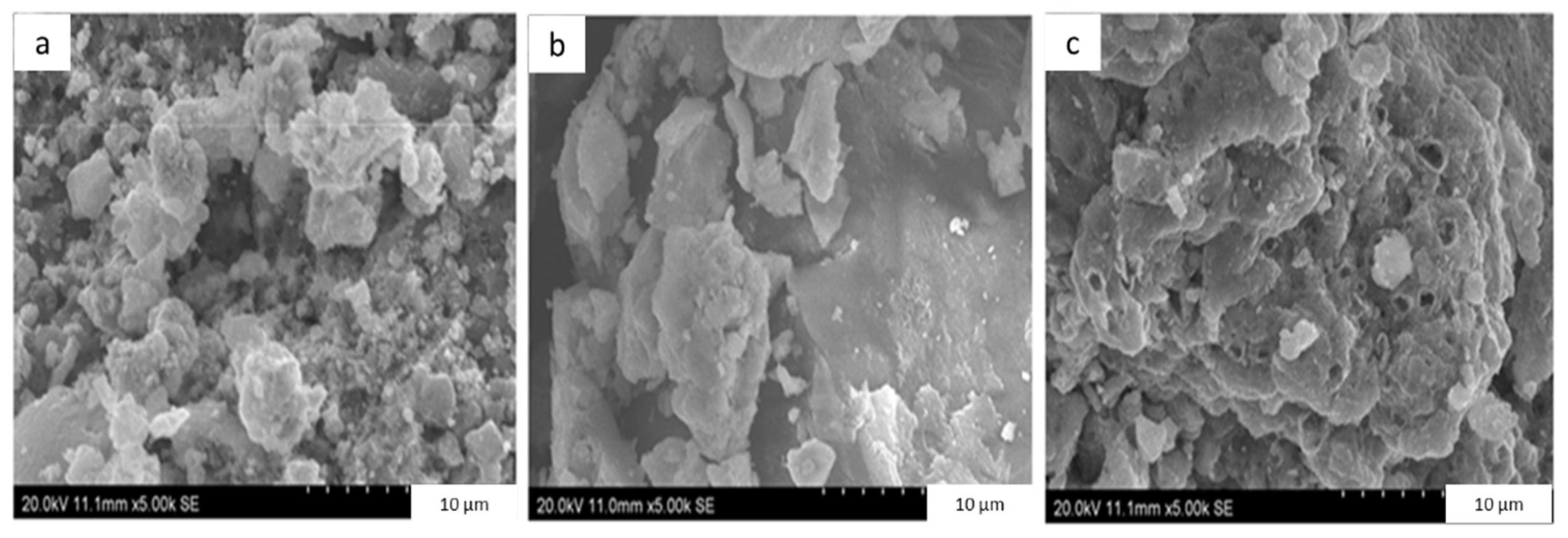 Catalysts 14 00400 g004