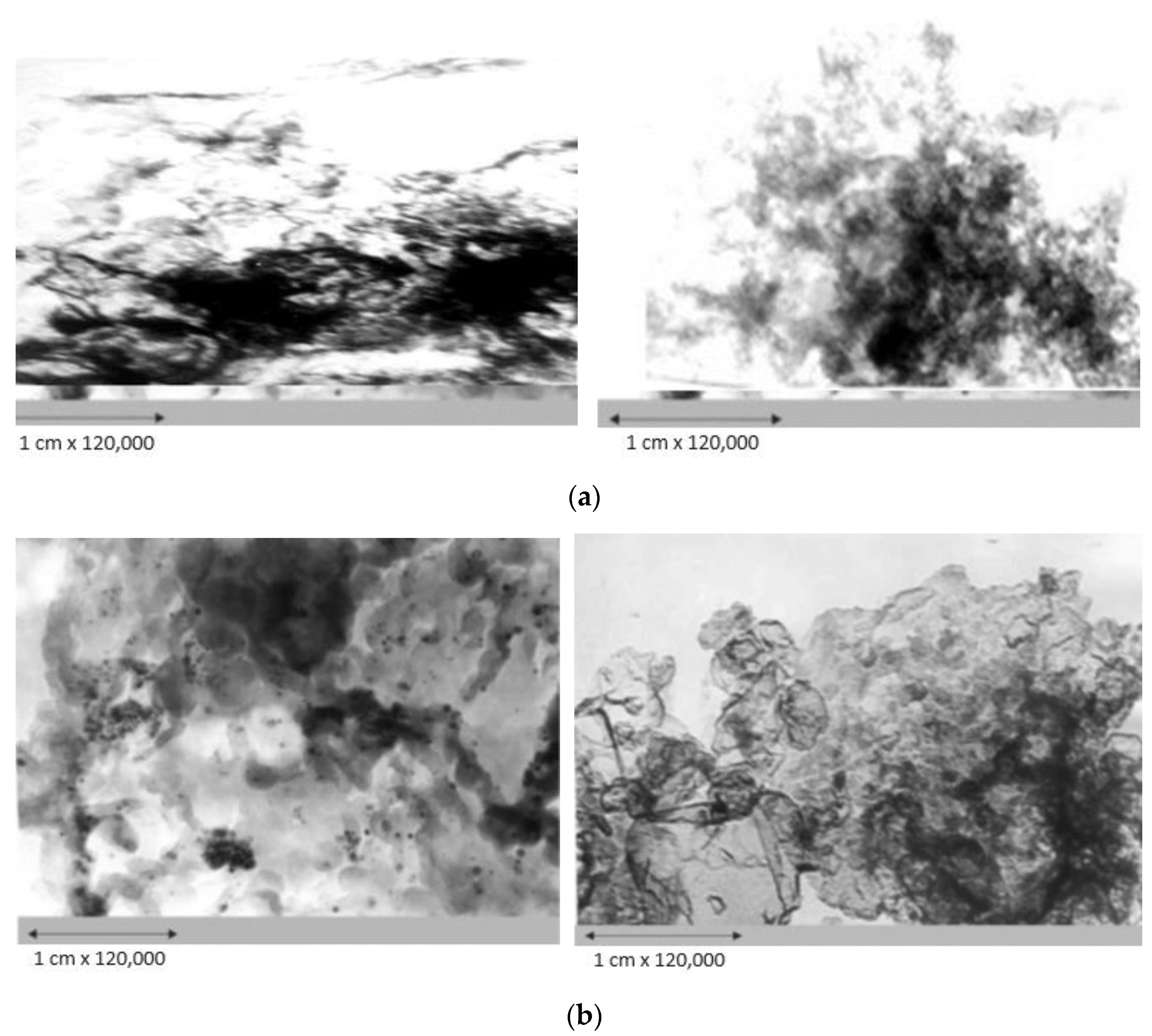 Catalysts 14 00404 g004a