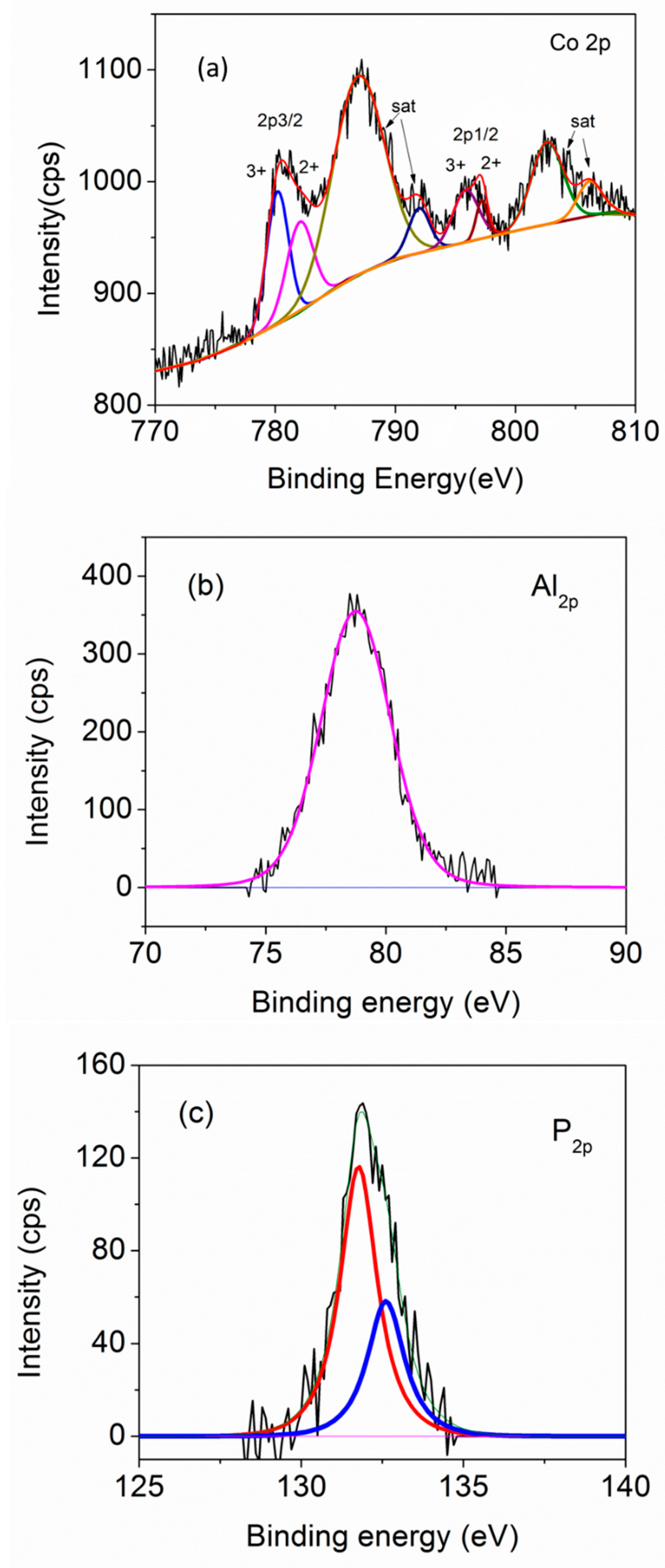 Catalysts 14 00408 g007