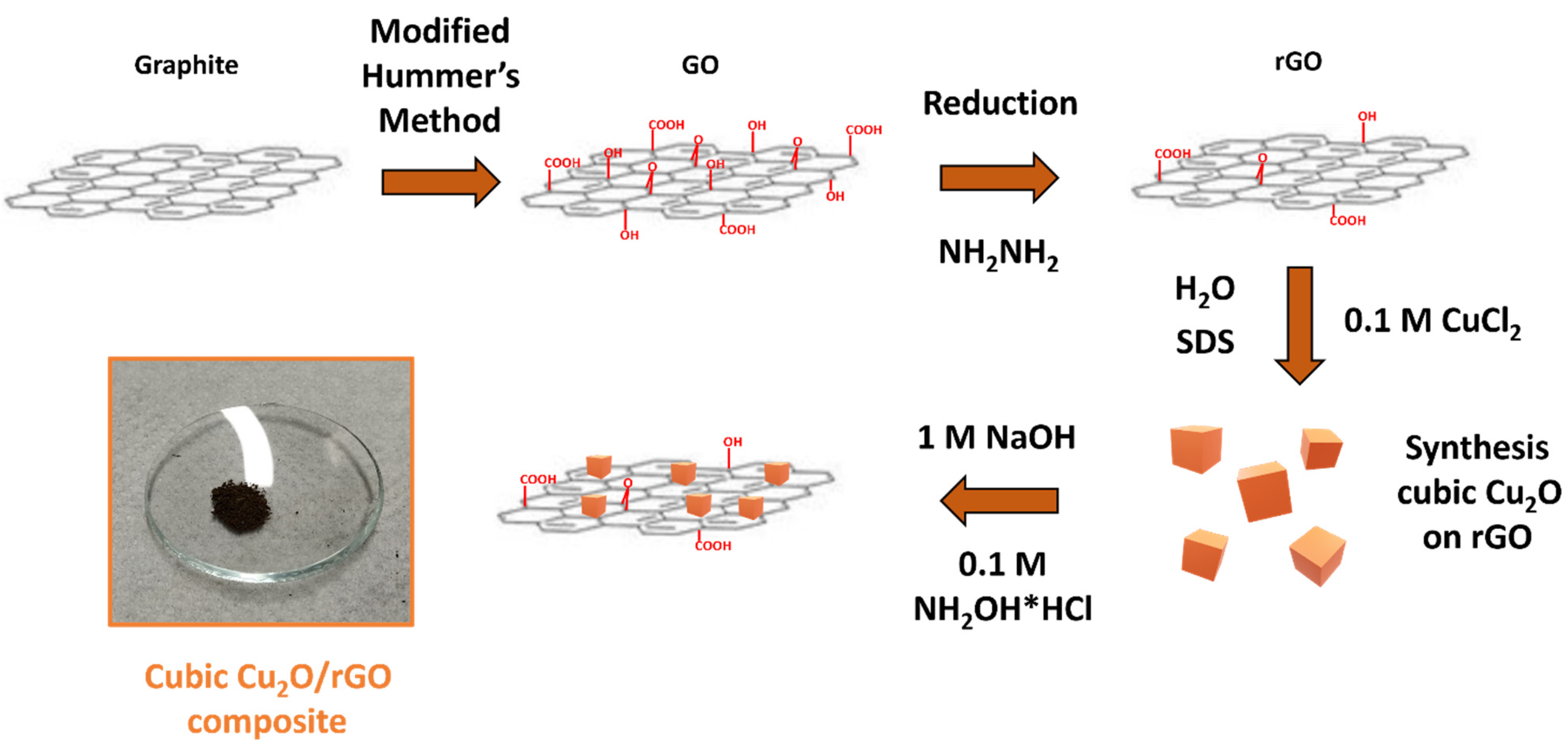 Catalysts 14 00412 g001