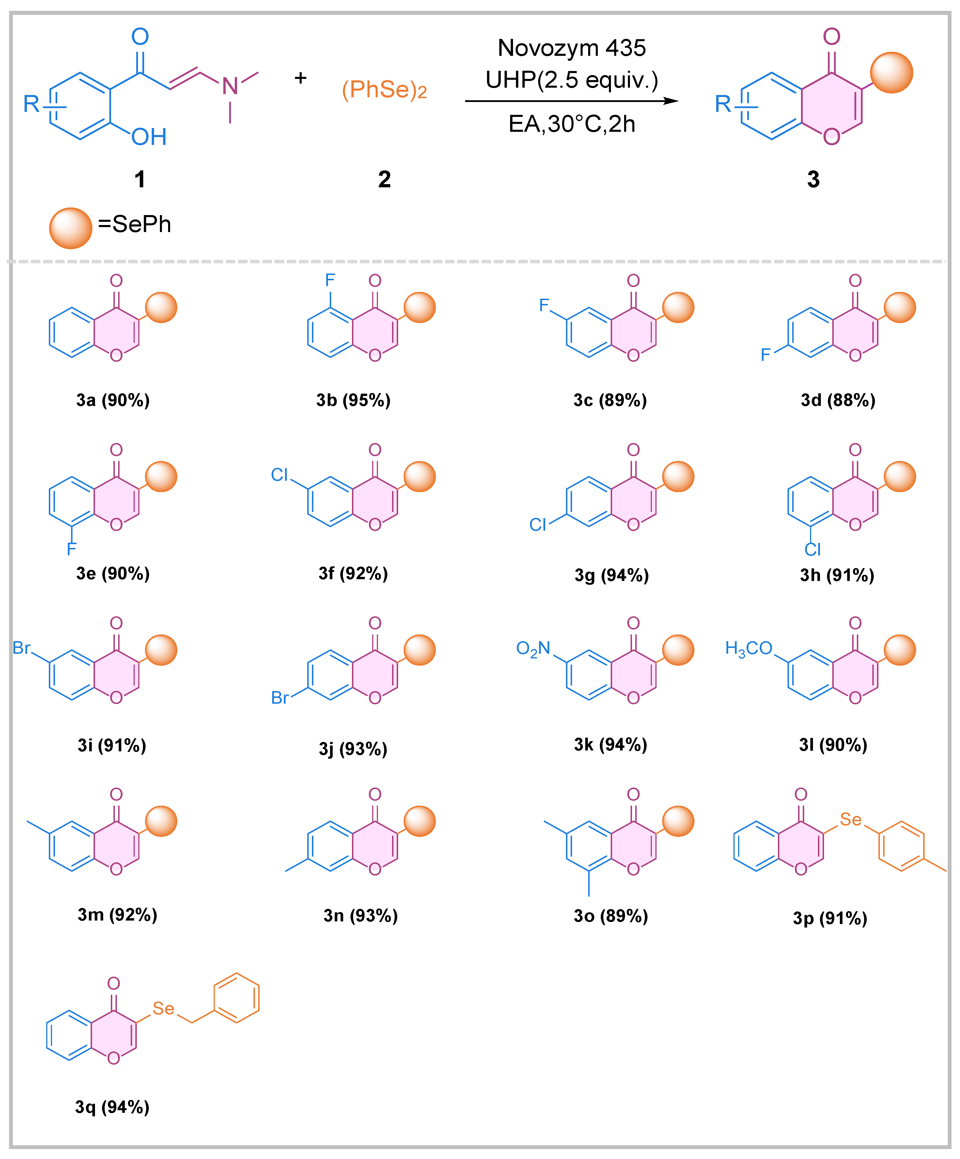 Catalysts 14 00413 sch002
