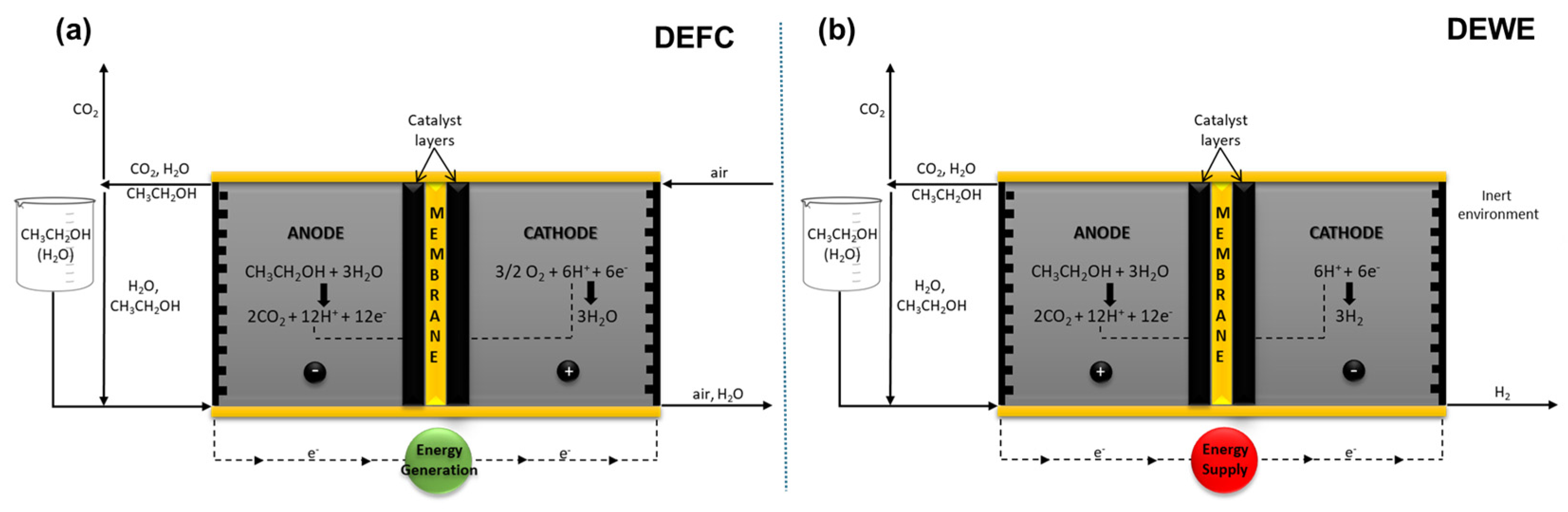 Catalysts 14 00415 g001 Catalysts 14 00415 g001