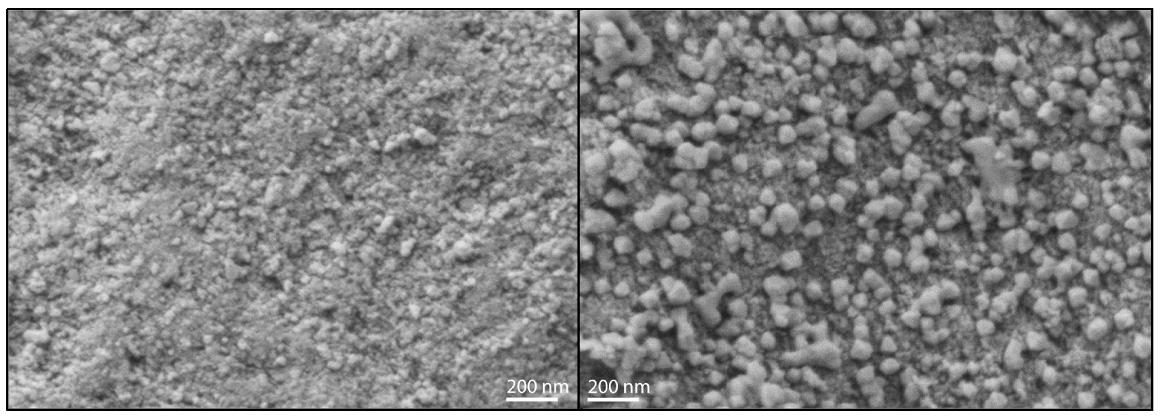 Catalysts 14 00416 g005