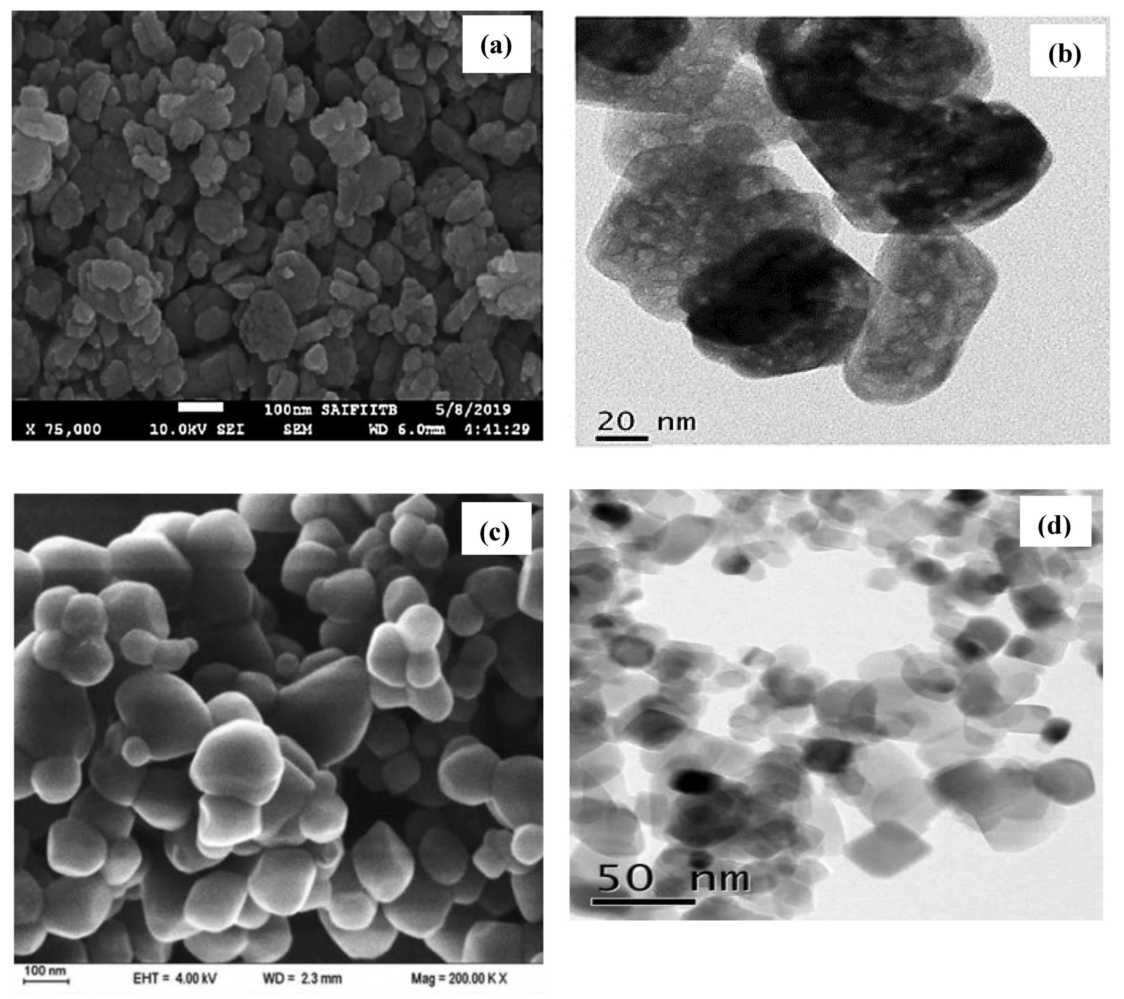 Catalysts 14 00420 g001