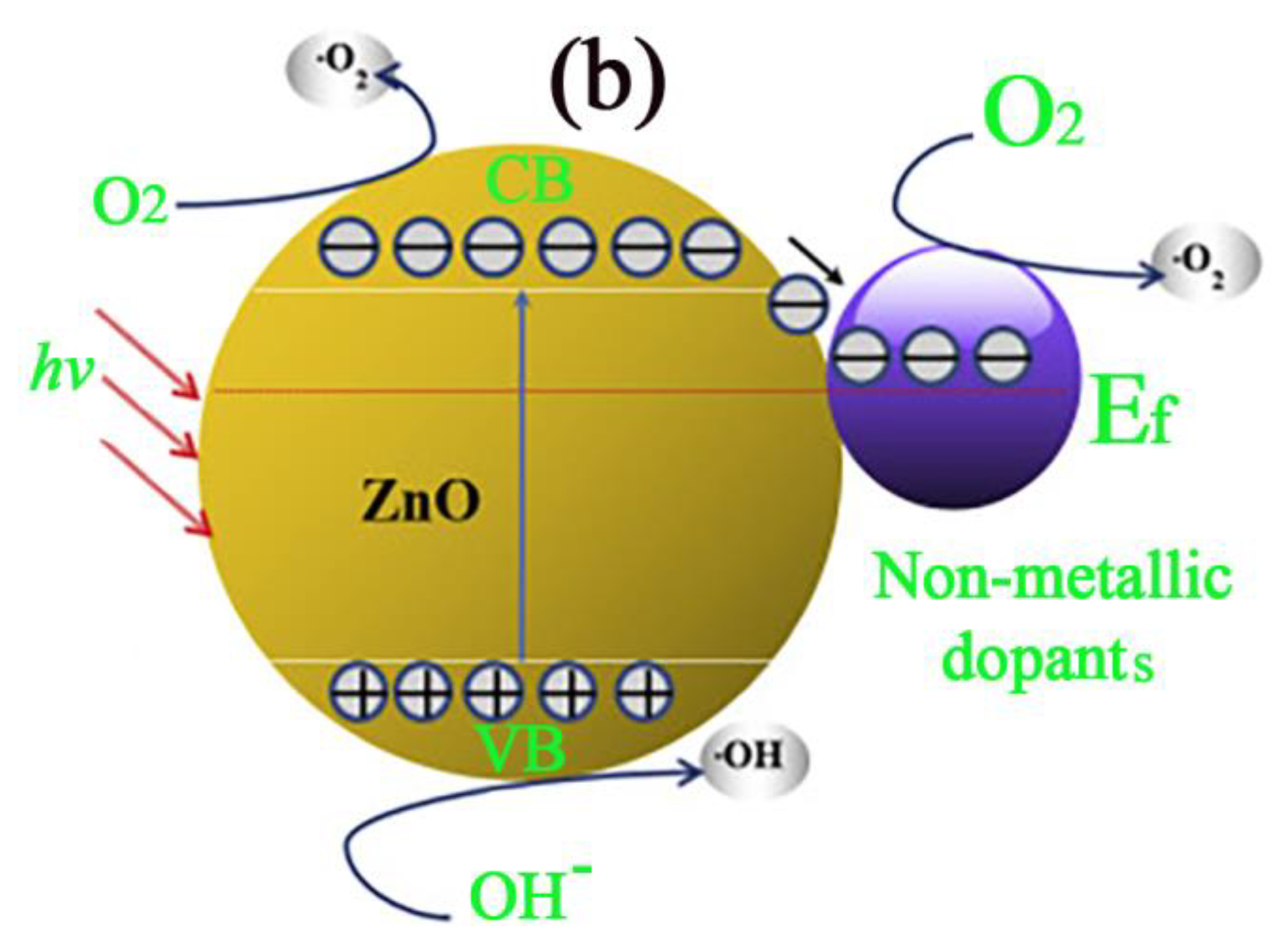 Catalysts 14 00420 g009b