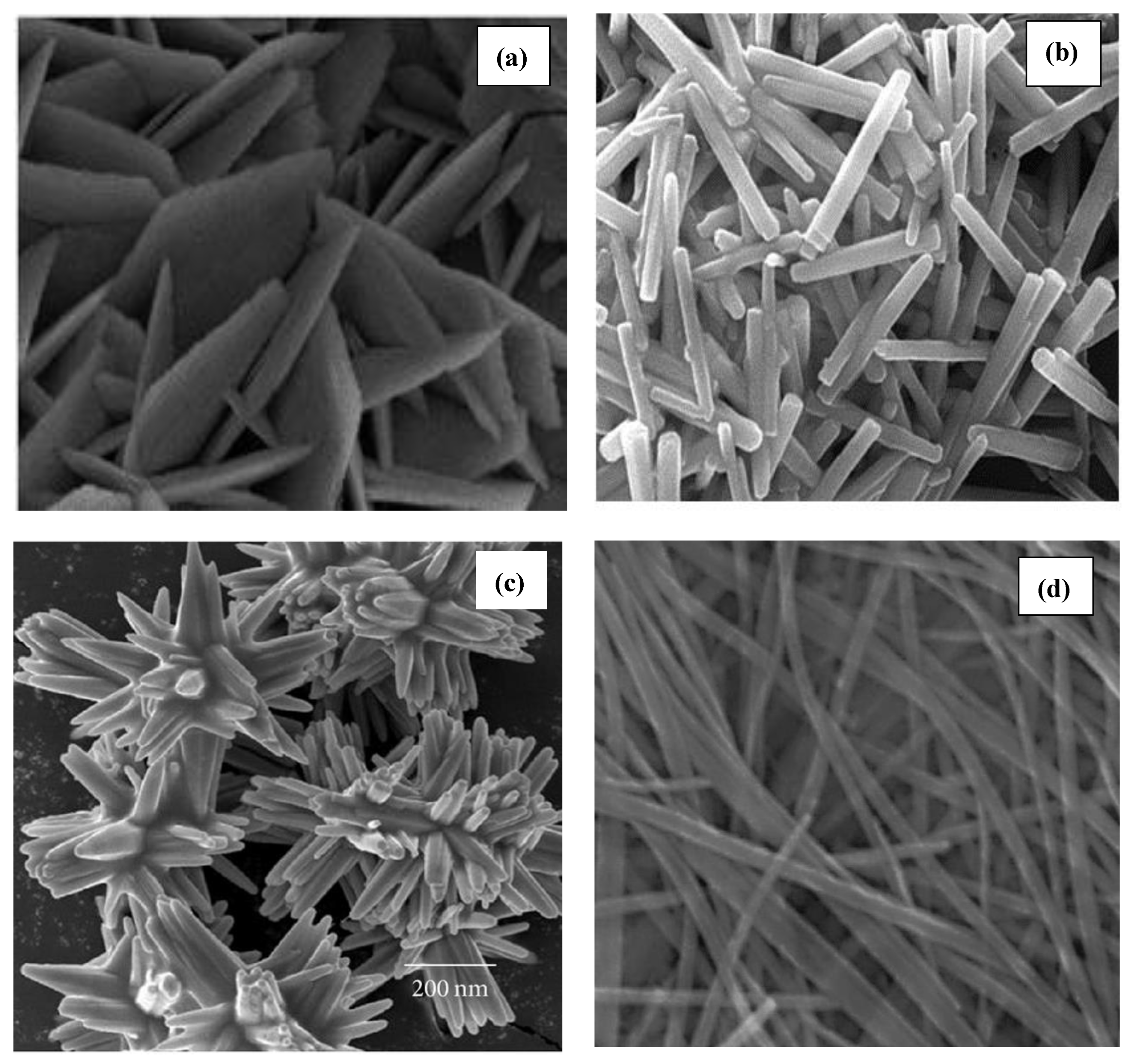 Catalysts 14 00420 g010