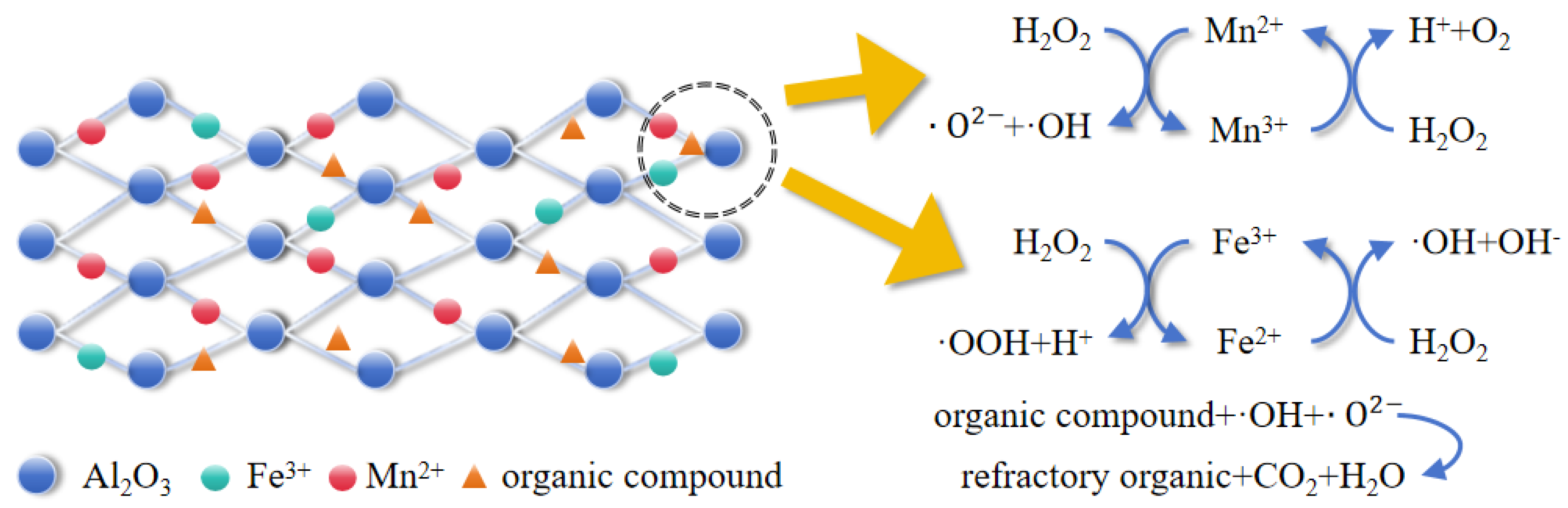 Catalysts 14 00422 g012