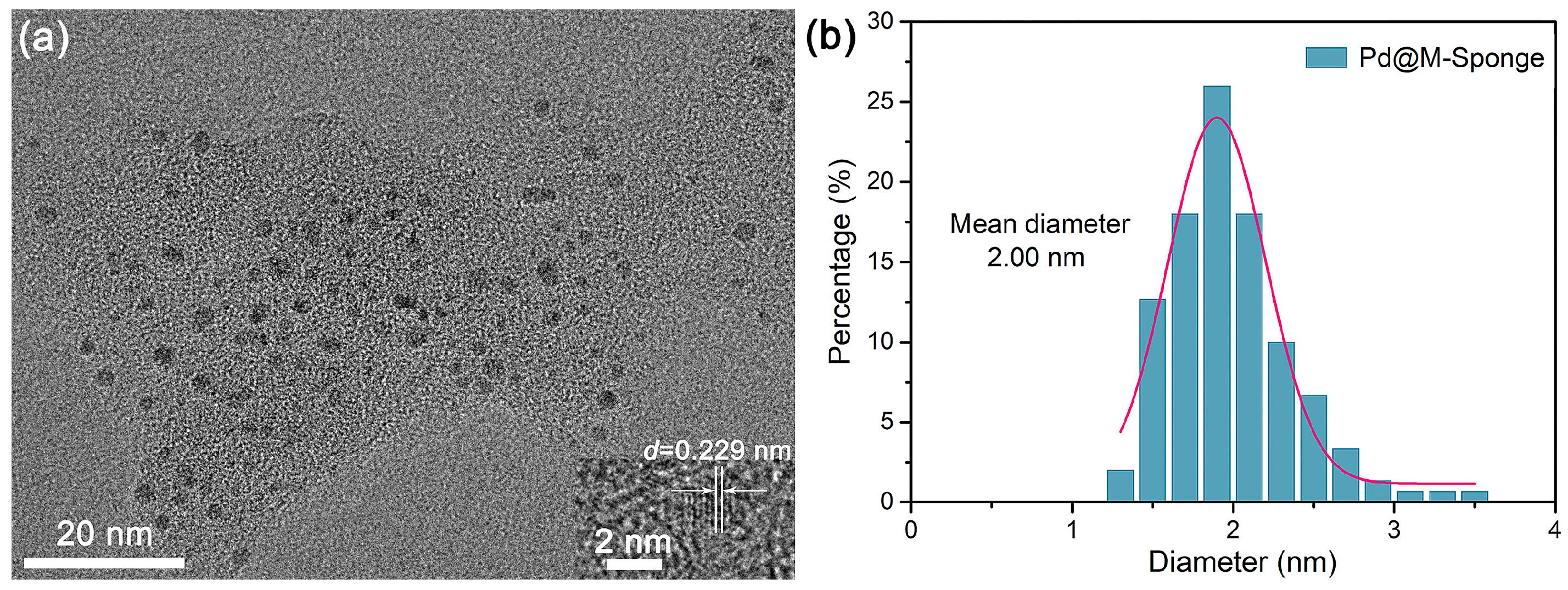 Catalysts 14 00424 g004