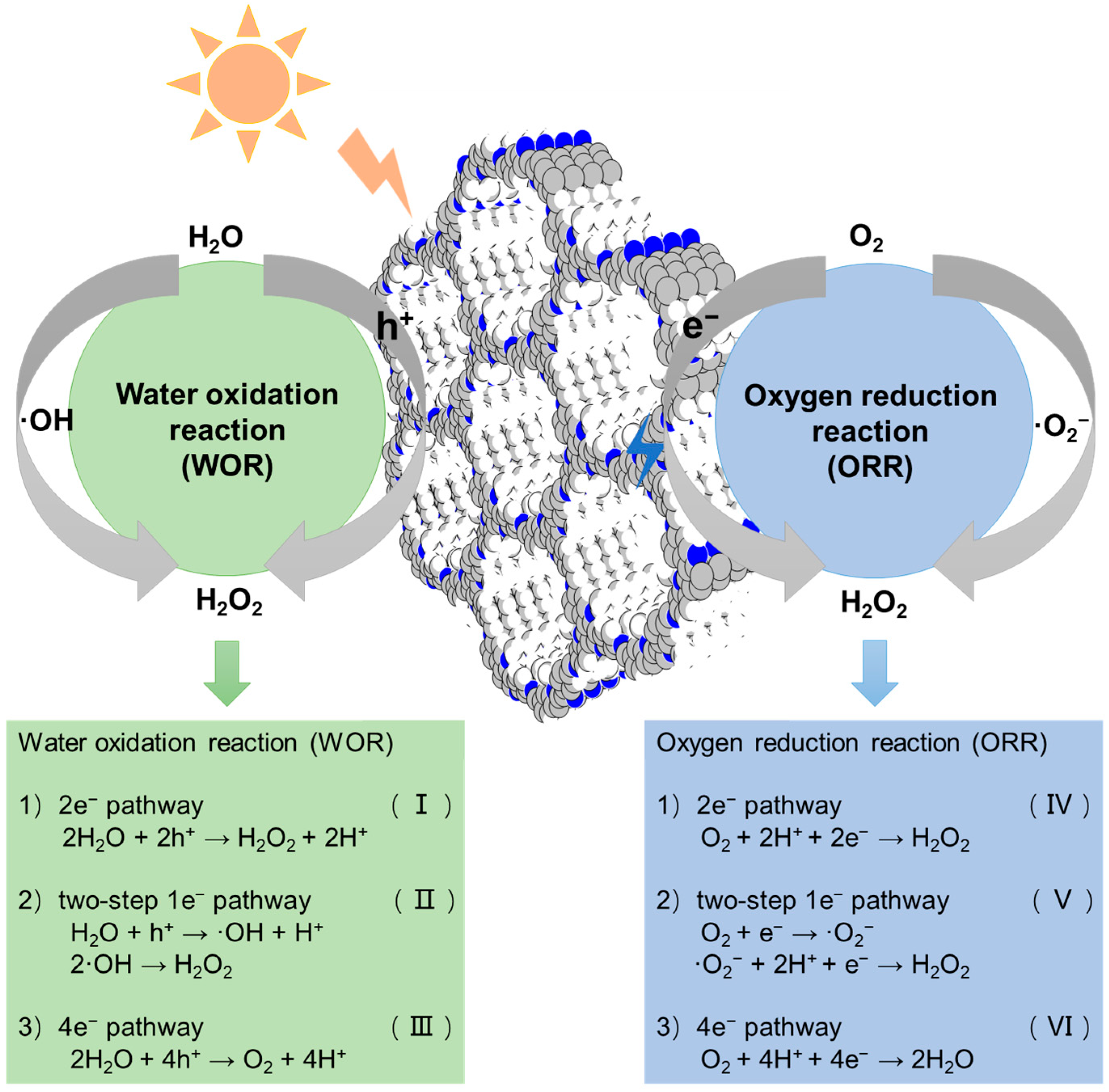 Catalysts 14 00429 g001