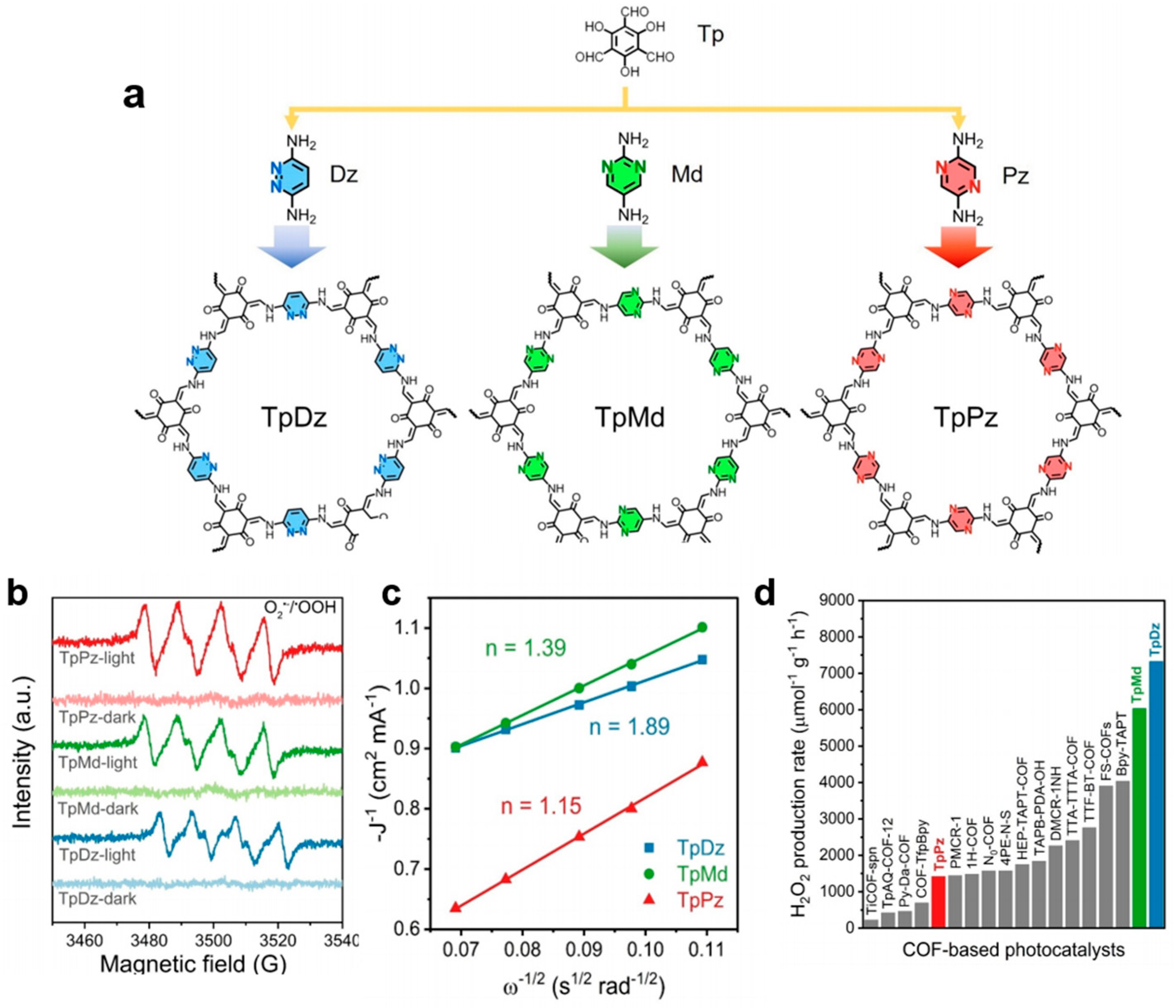 Catalysts 14 00429 g002