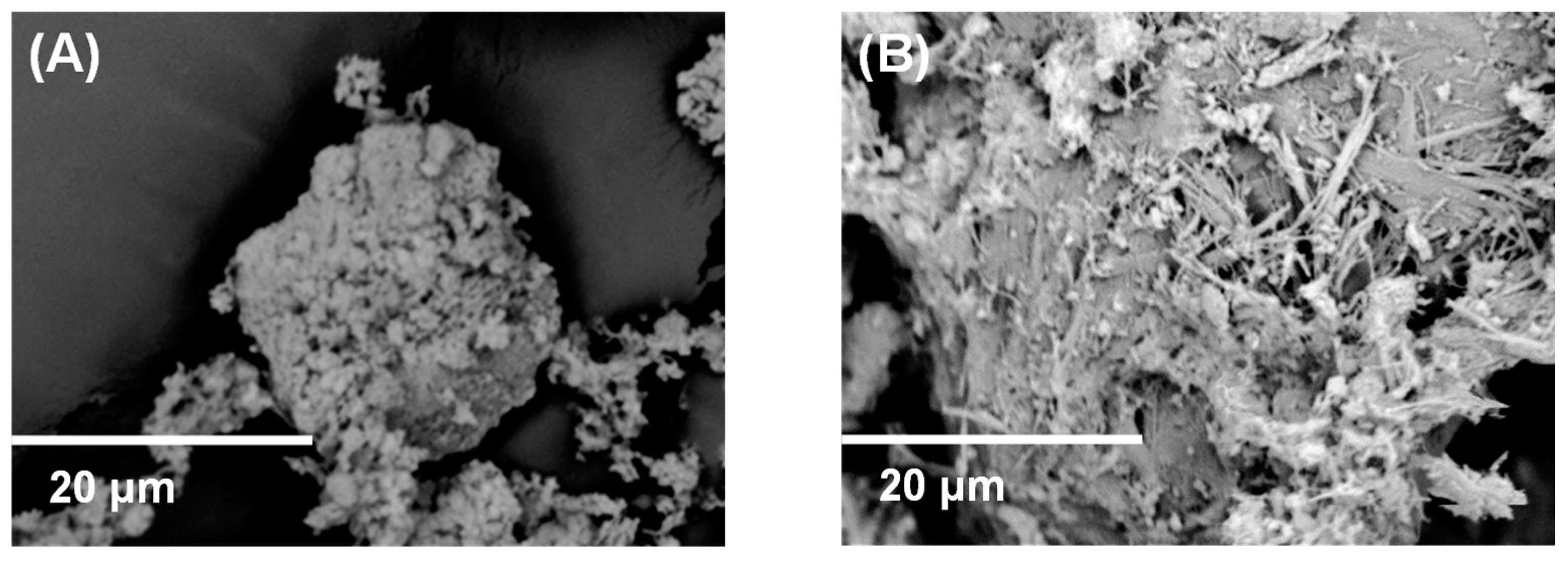 Catalysts 14 00433 g003