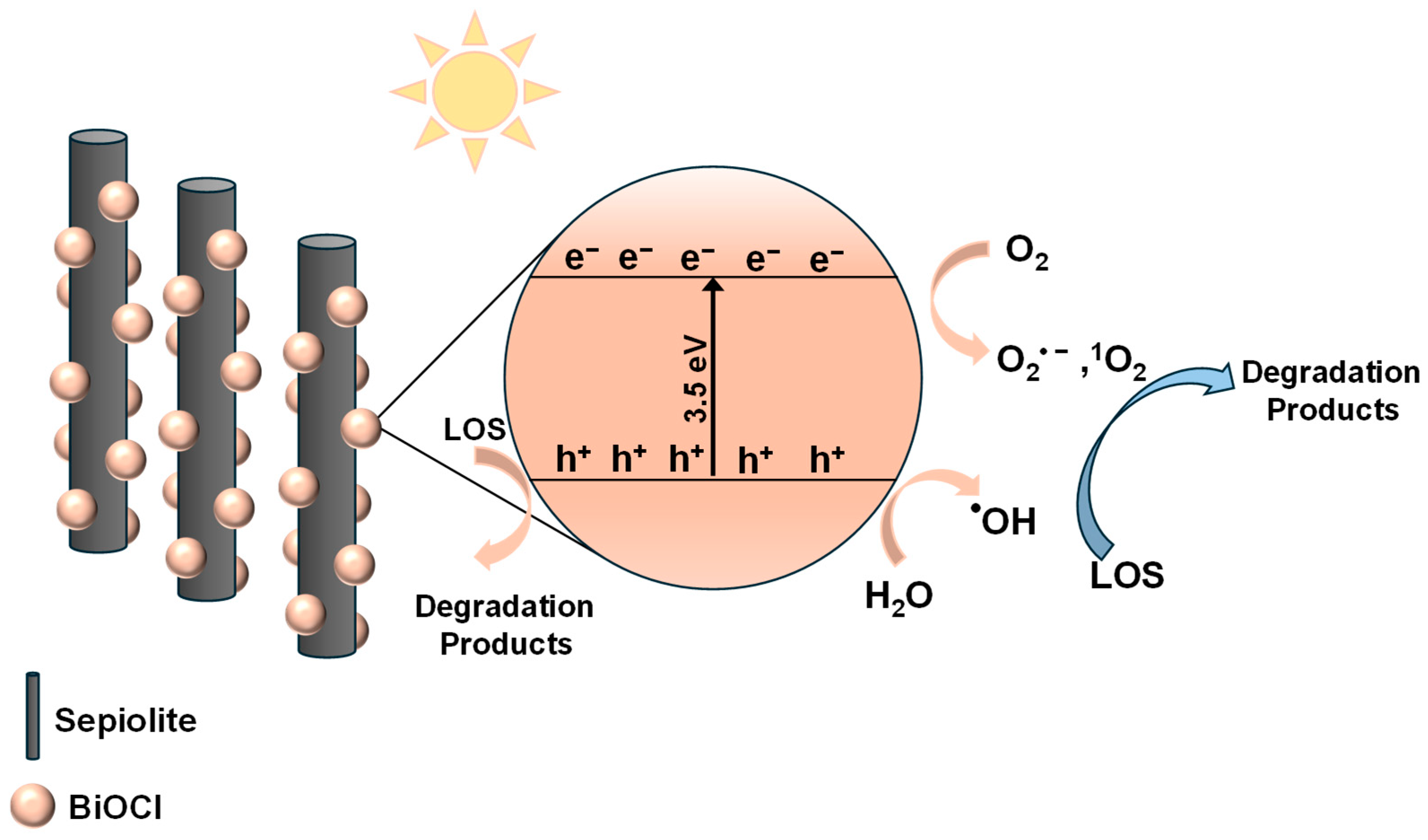 Catalysts 14 00433 sch001