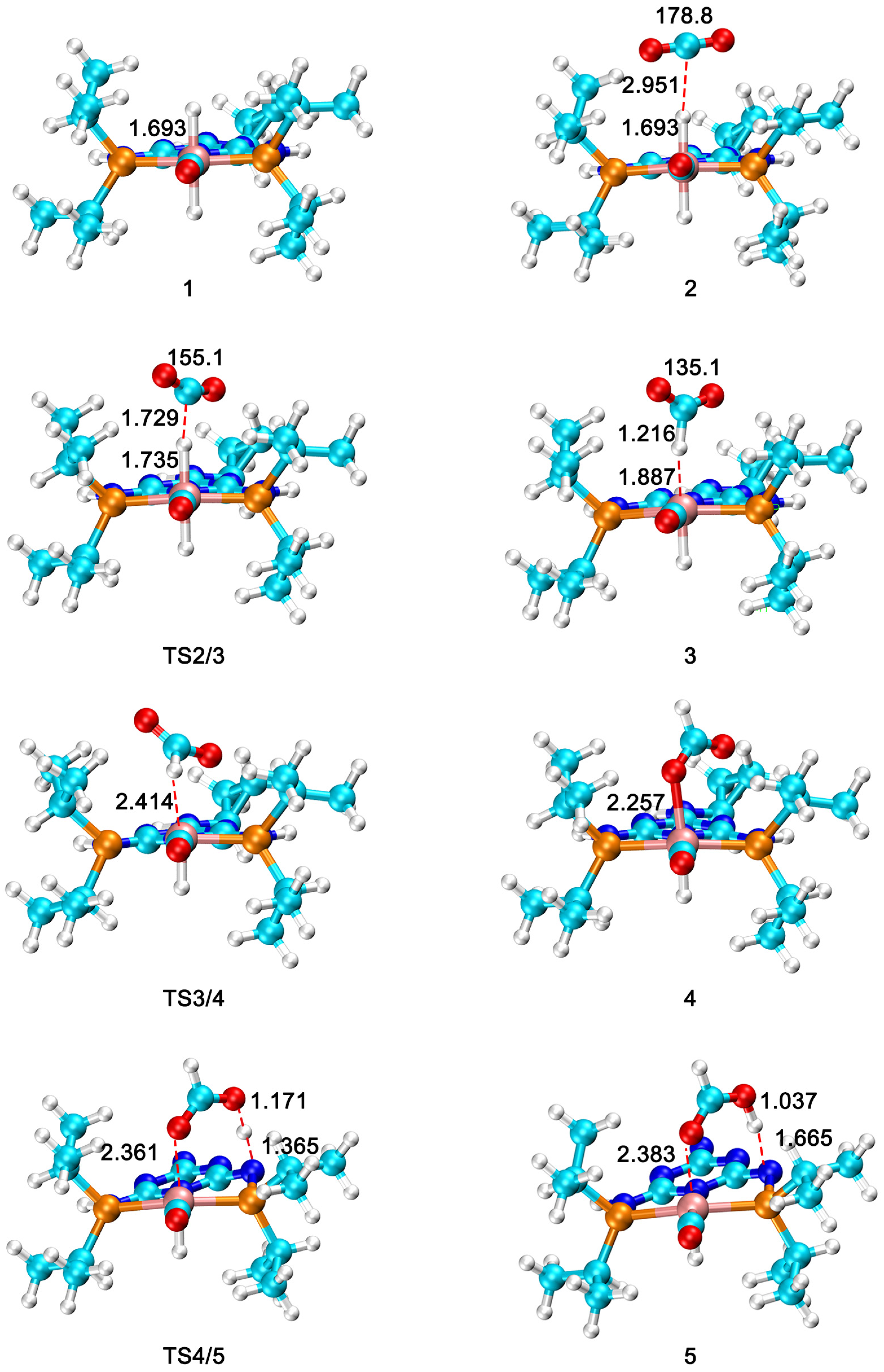 Catalysts 14 00440 g001 Catalysts 14 00440 g001