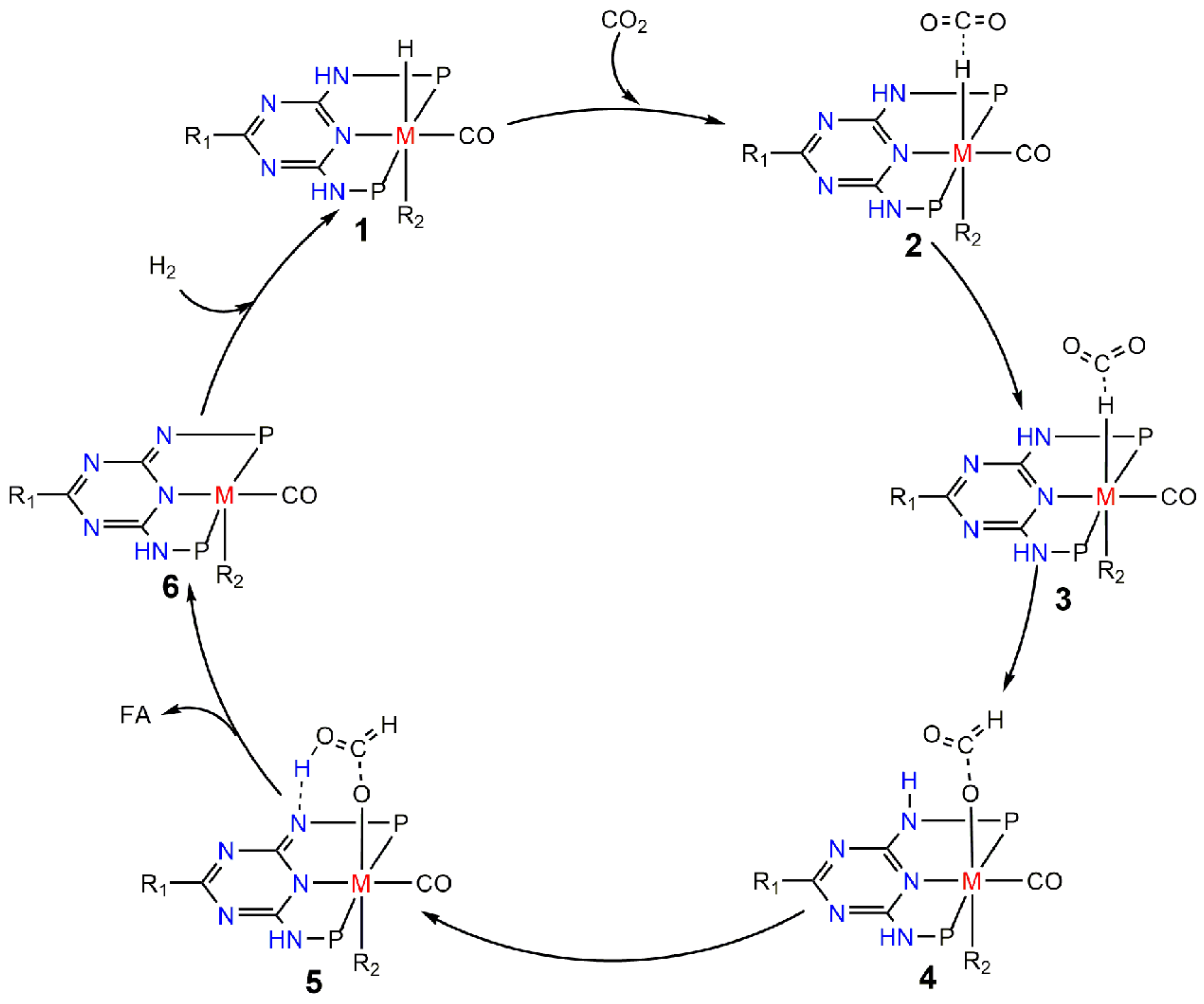Catalysts 14 00440 sch002 Catalysts 14 00440 sch002
