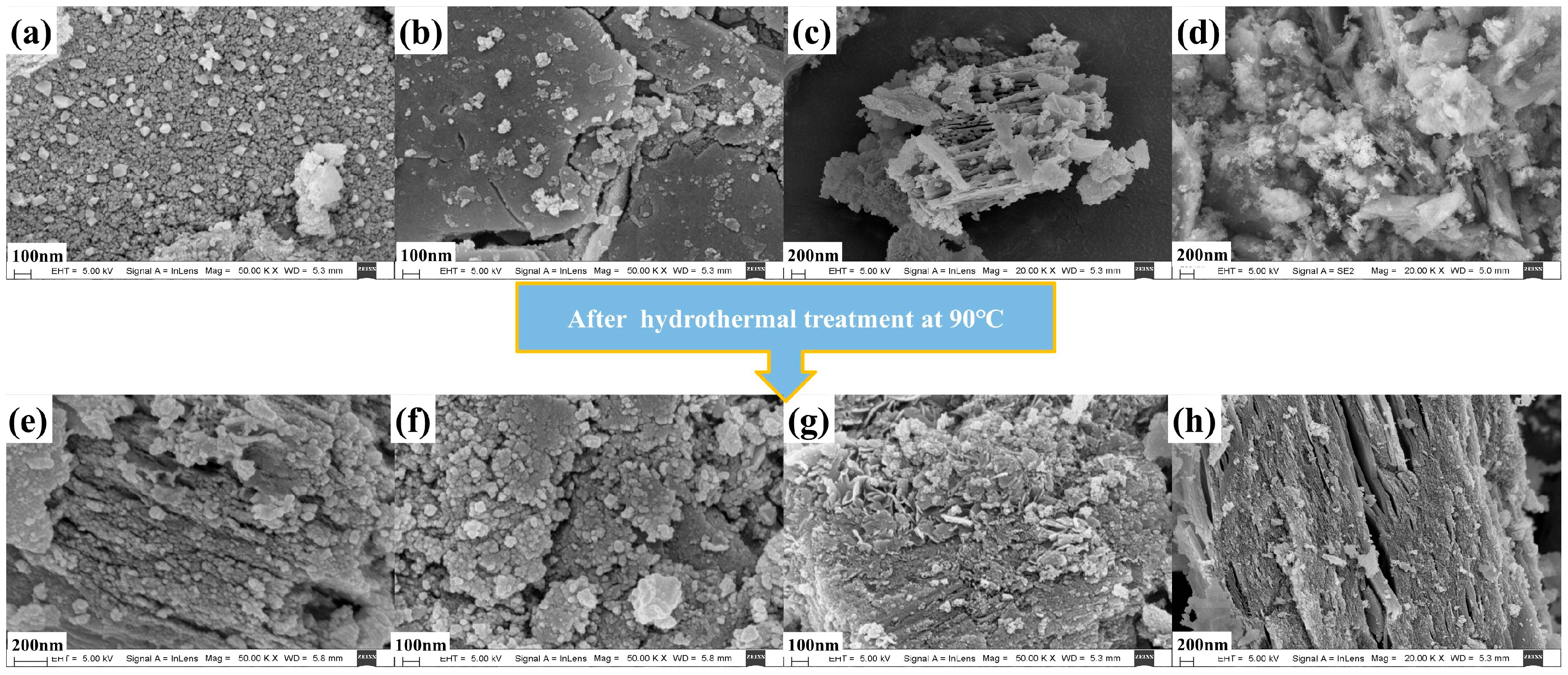 Catalysts 14 00443 g004 Catalysts 14 00443 g004