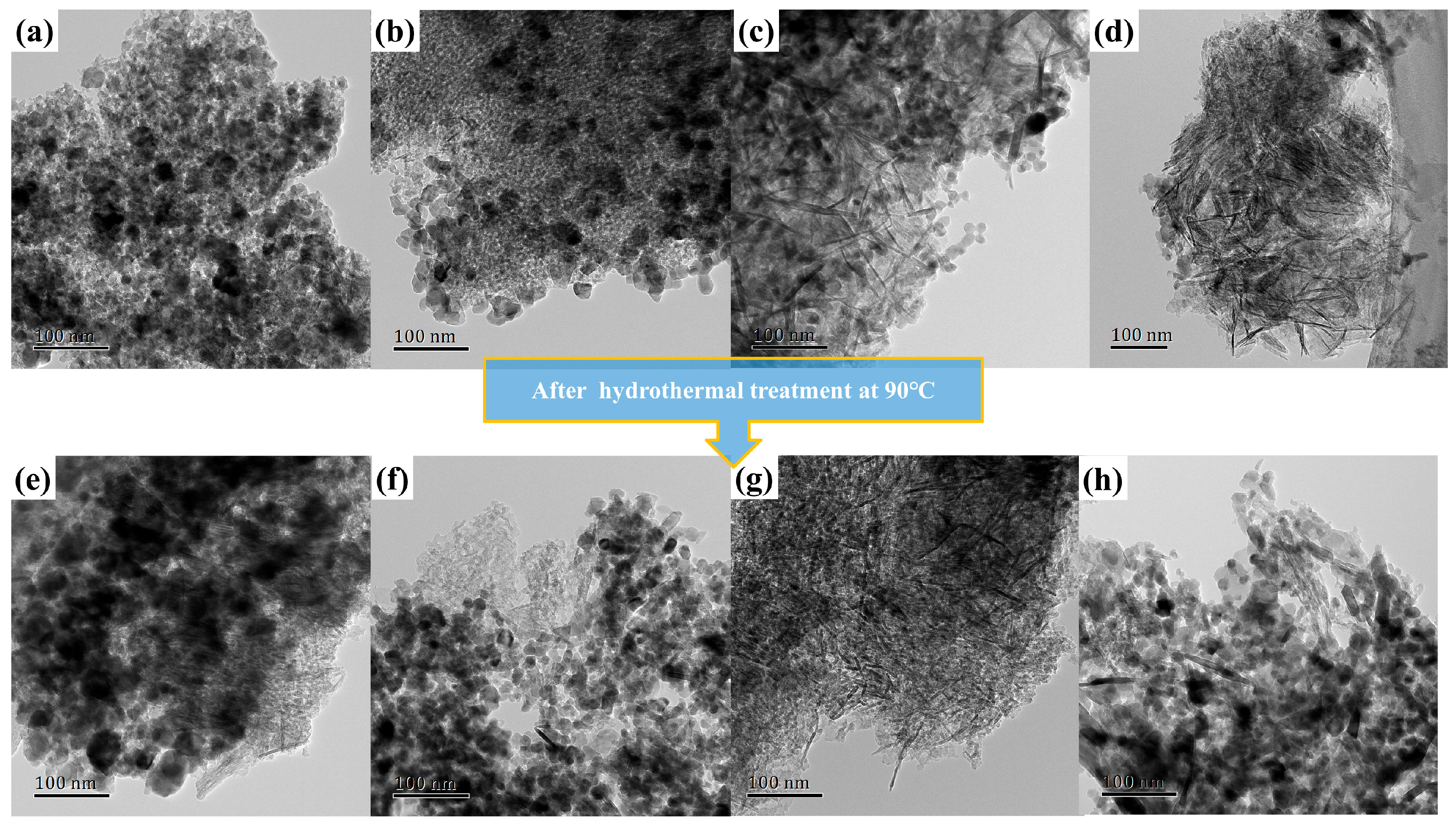 Catalysts 14 00443 g005 Catalysts 14 00443 g005