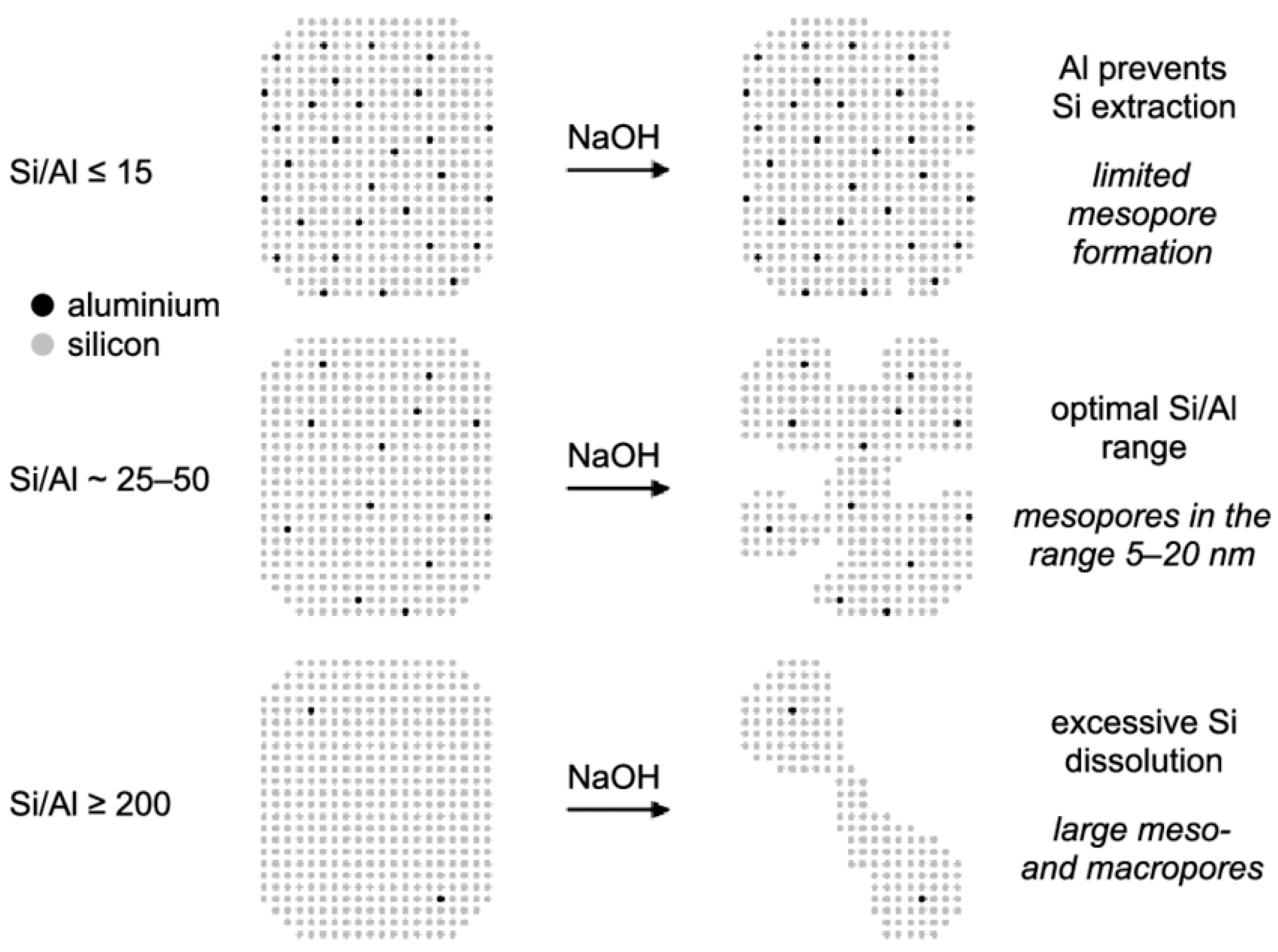 Catalysts 14 00450 g005