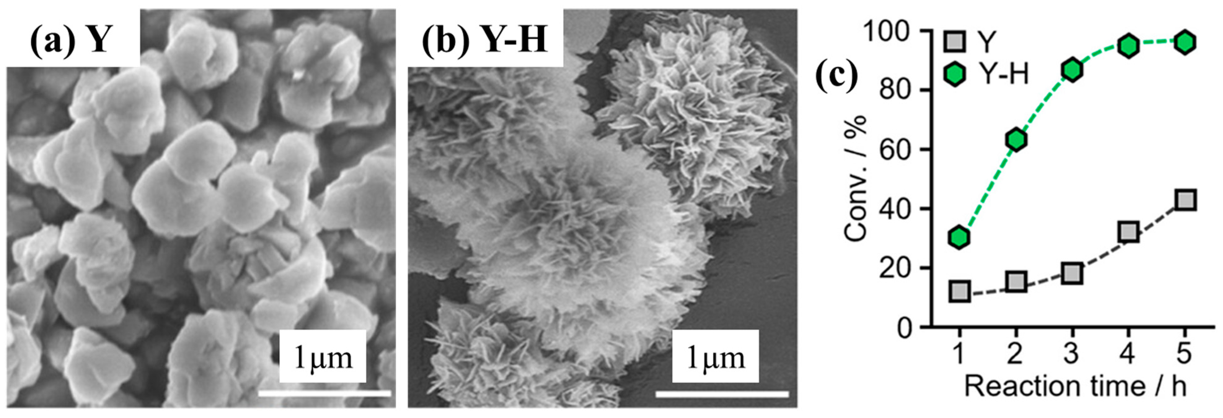 Catalysts 14 00450 g009