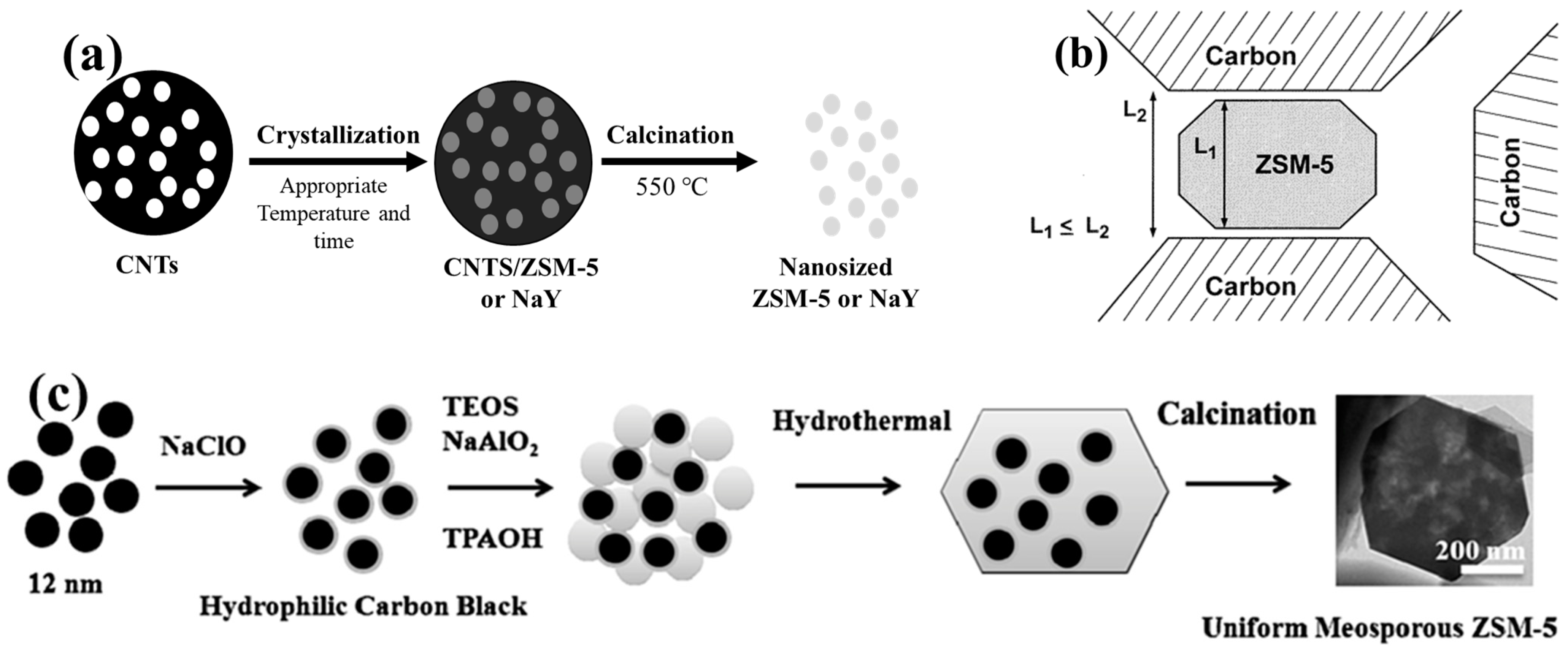 Catalysts 14 00450 g011