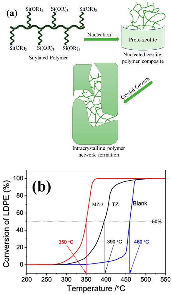 Catalysts 14 00450 g013