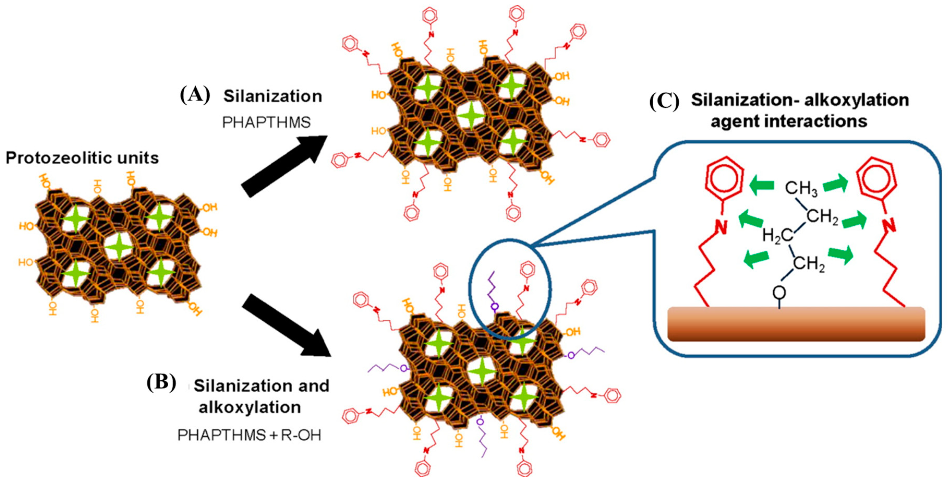 Catalysts 14 00450 g014