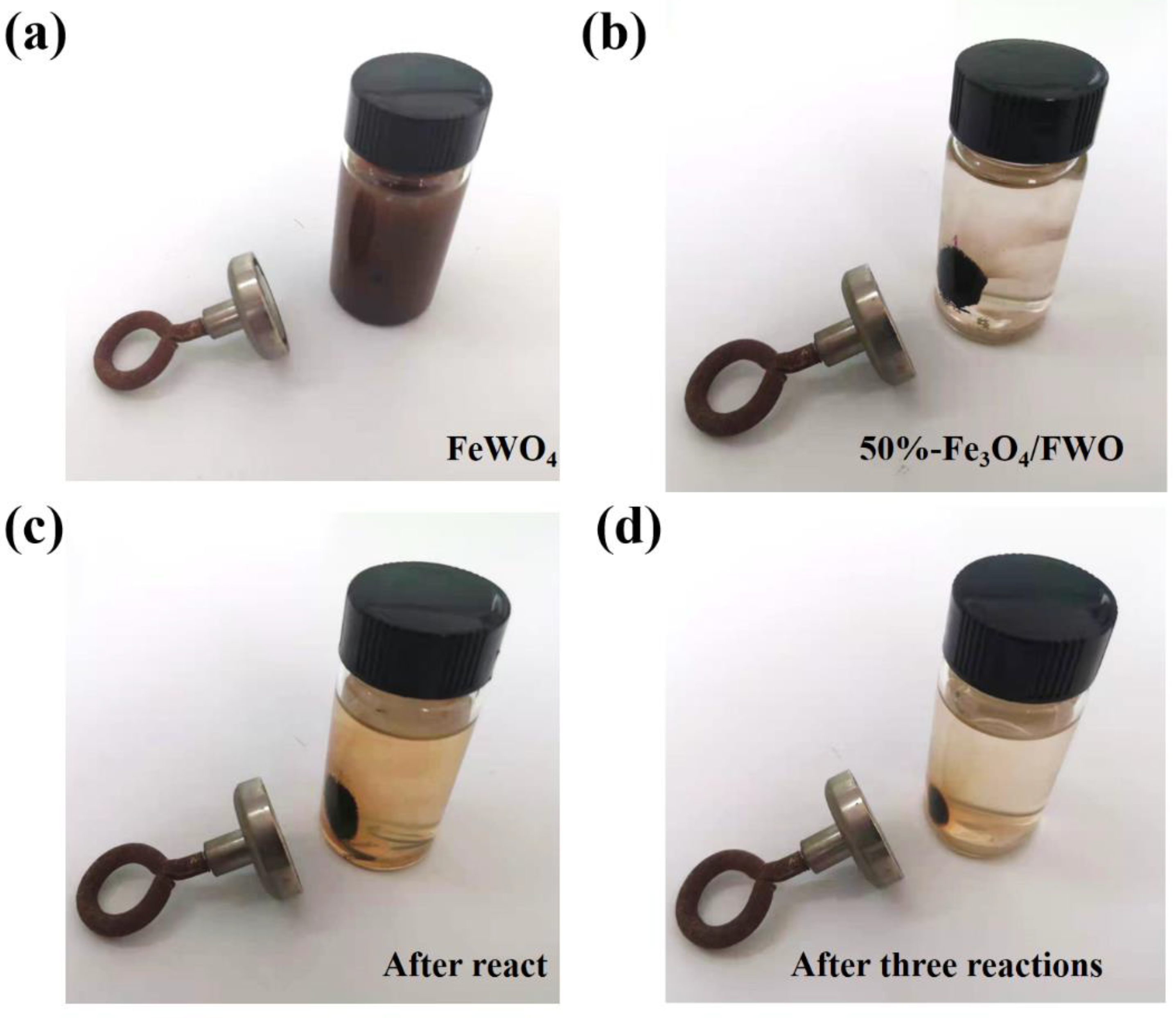 Catalysts 14 00453 g008