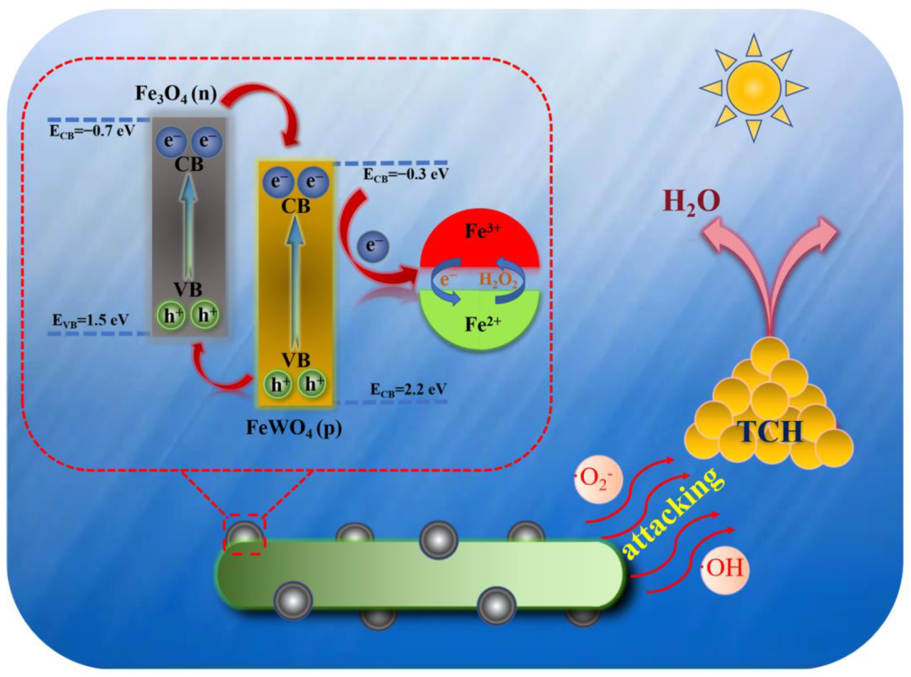 Catalysts 14 00453 g010