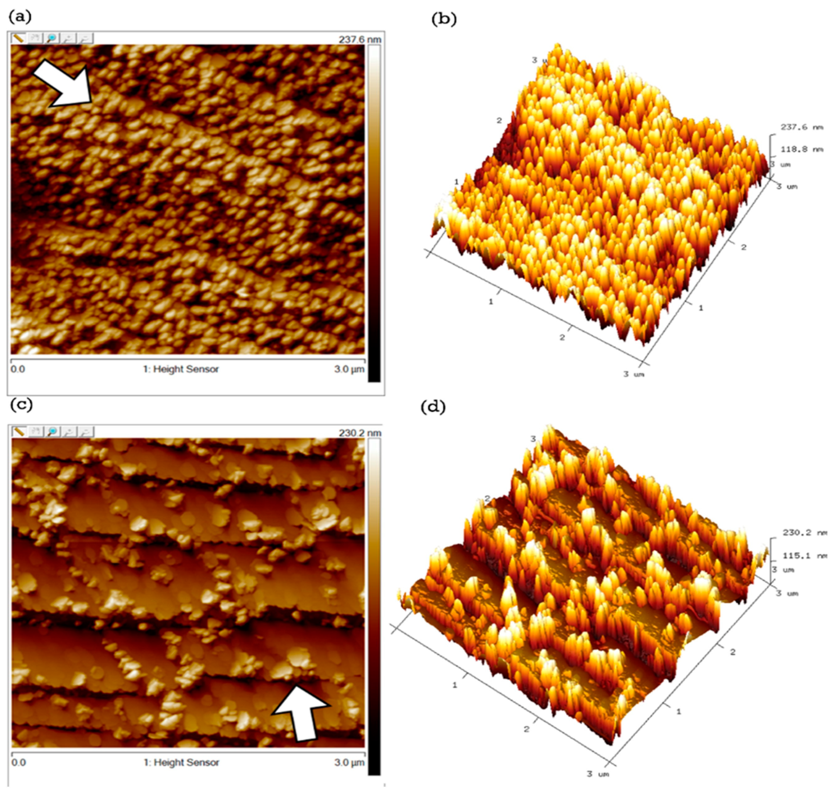 Catalysts 14 00478 g002