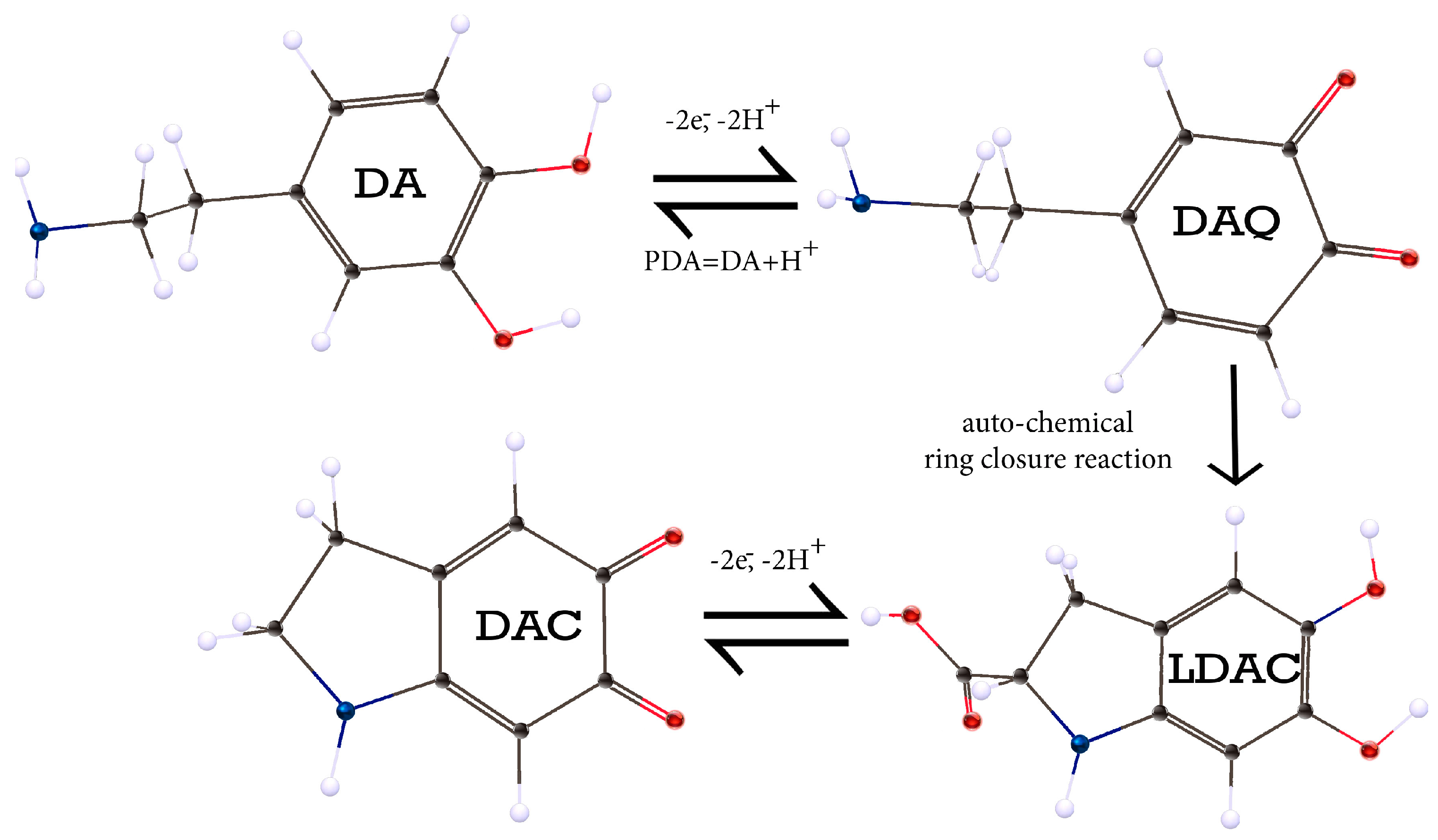 Catalysts 14 00478 g005