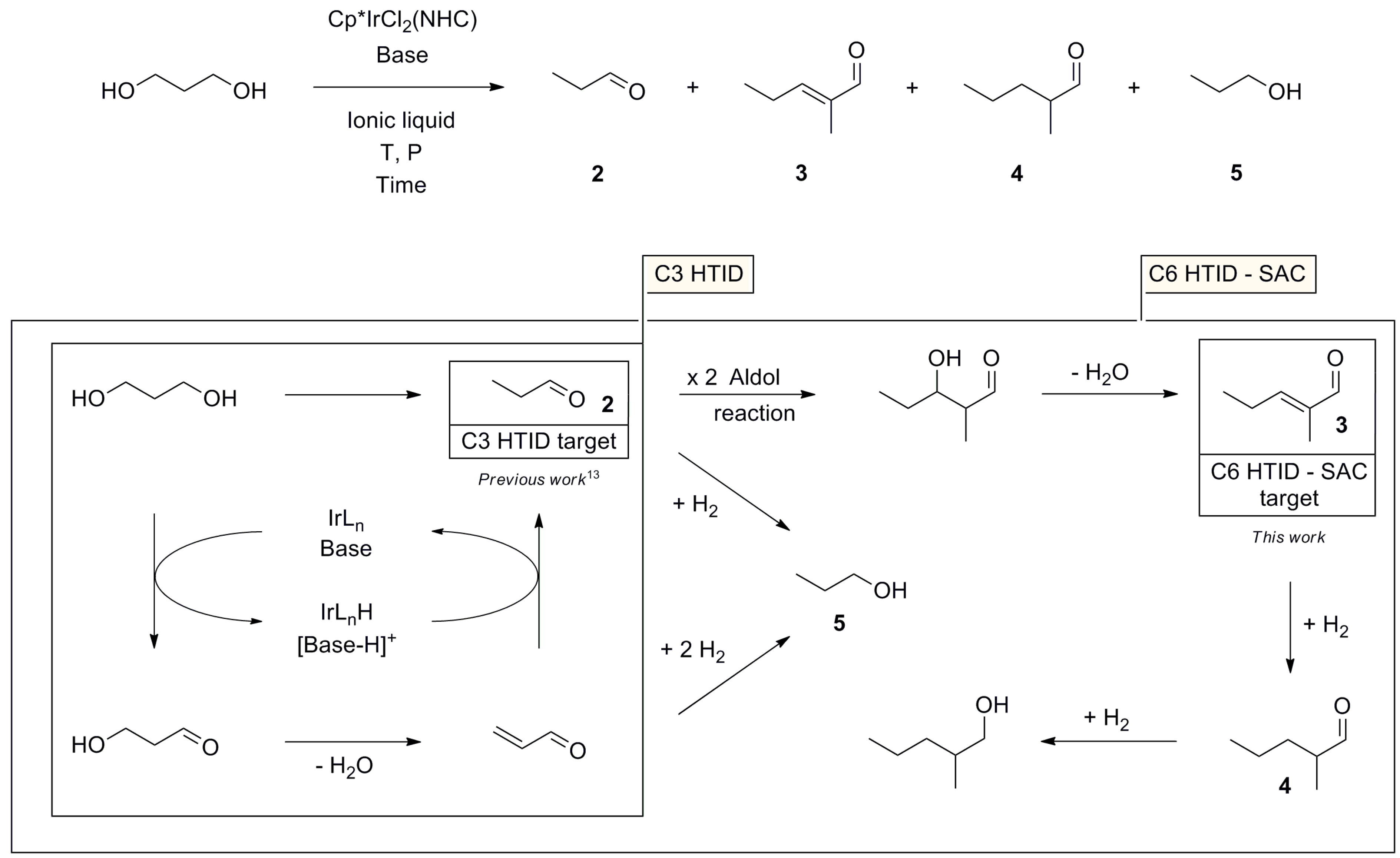 Catalysts 14 00481 sch001