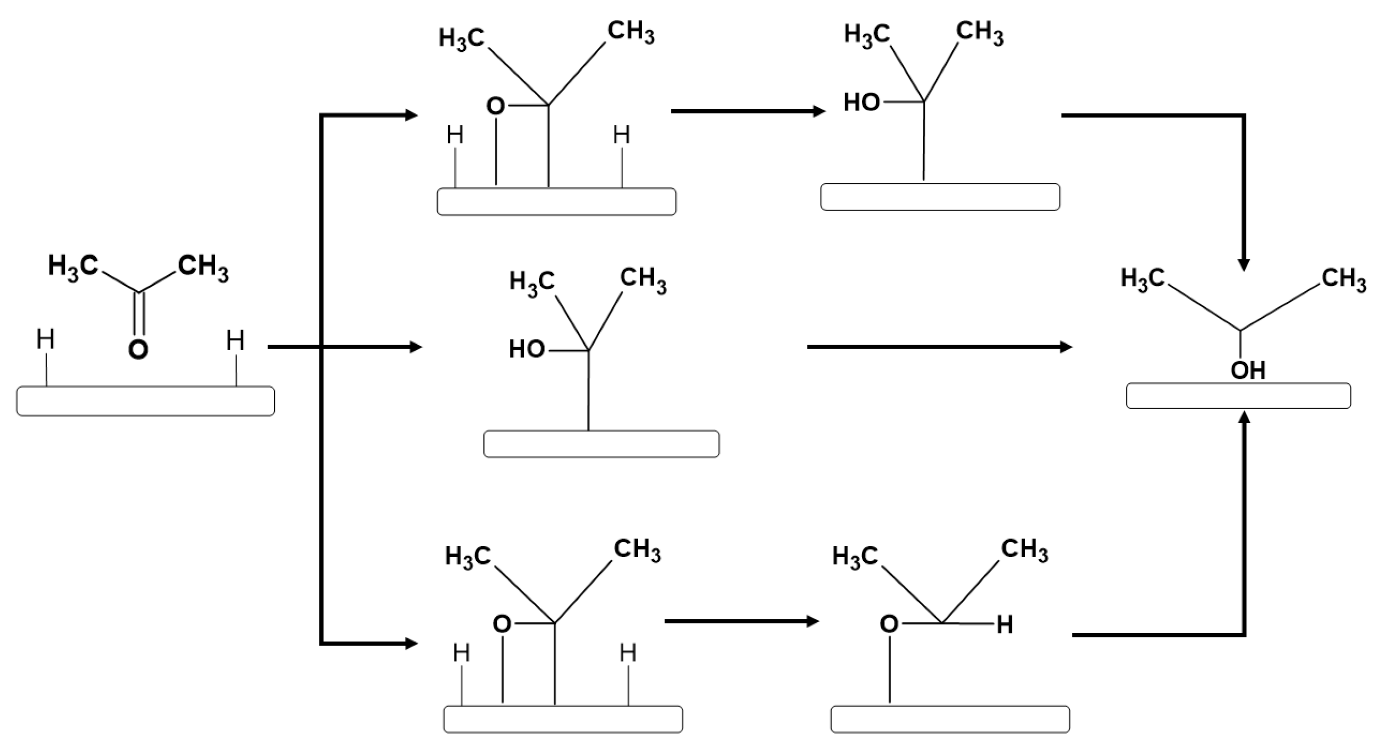 Catalysts 14 00488 sch001